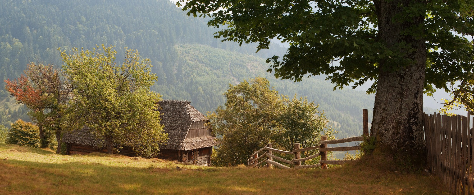 Пейзажи. Предметный фотограф в Москве Вячеслав Тимошенко