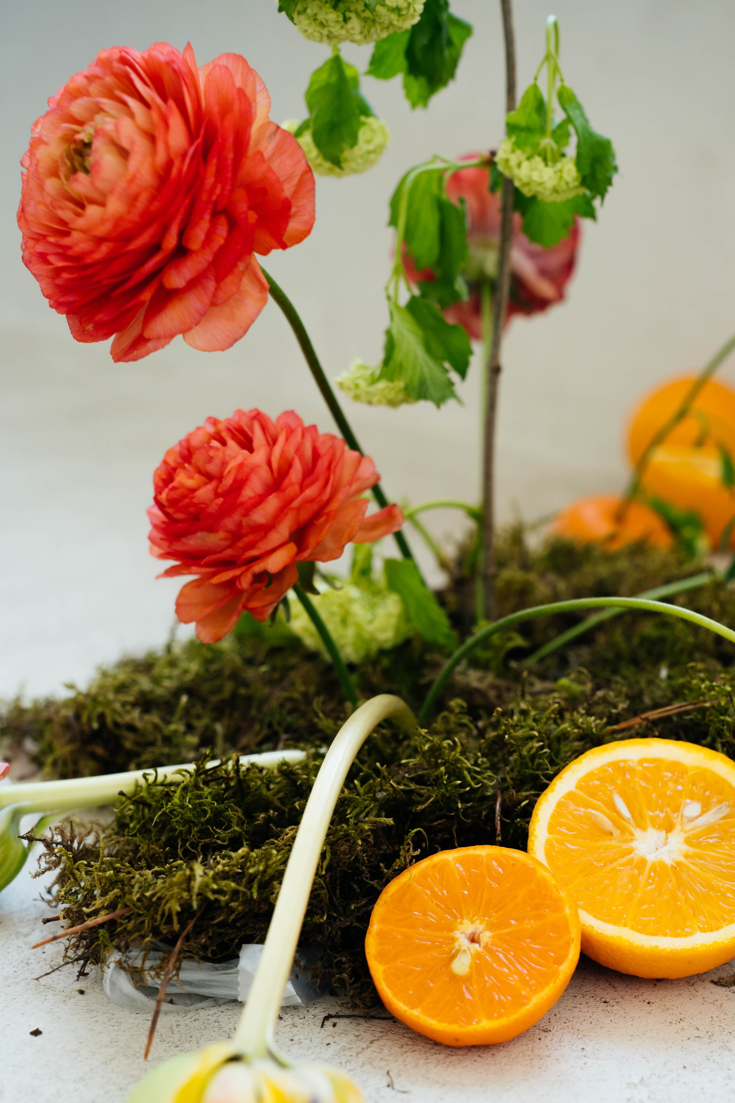 Мария и Никита. Видеограф и Фотограф в Челябинске Ксения и Владимир Рюмины