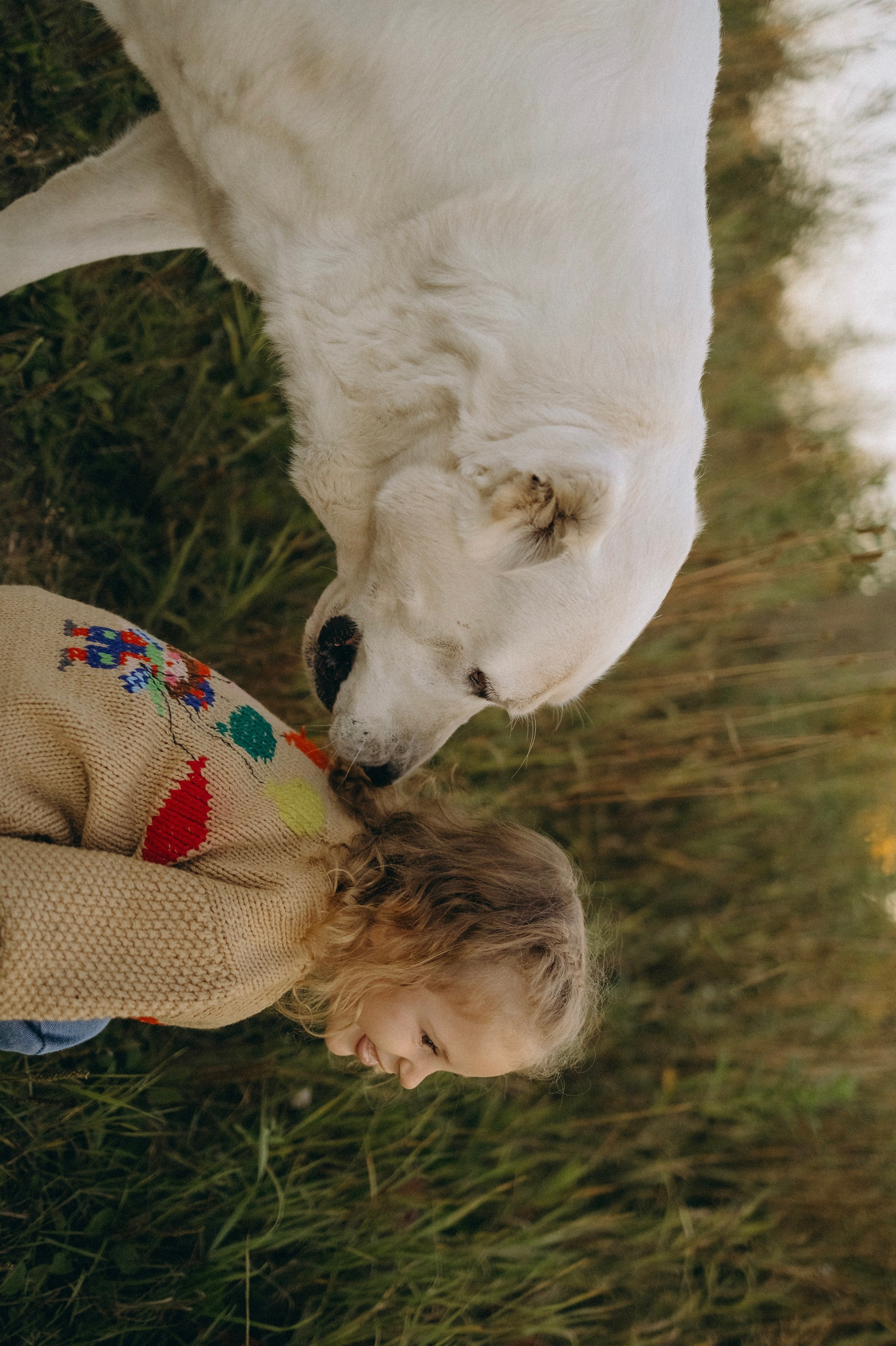 Алена, Еся, Агния. Главная