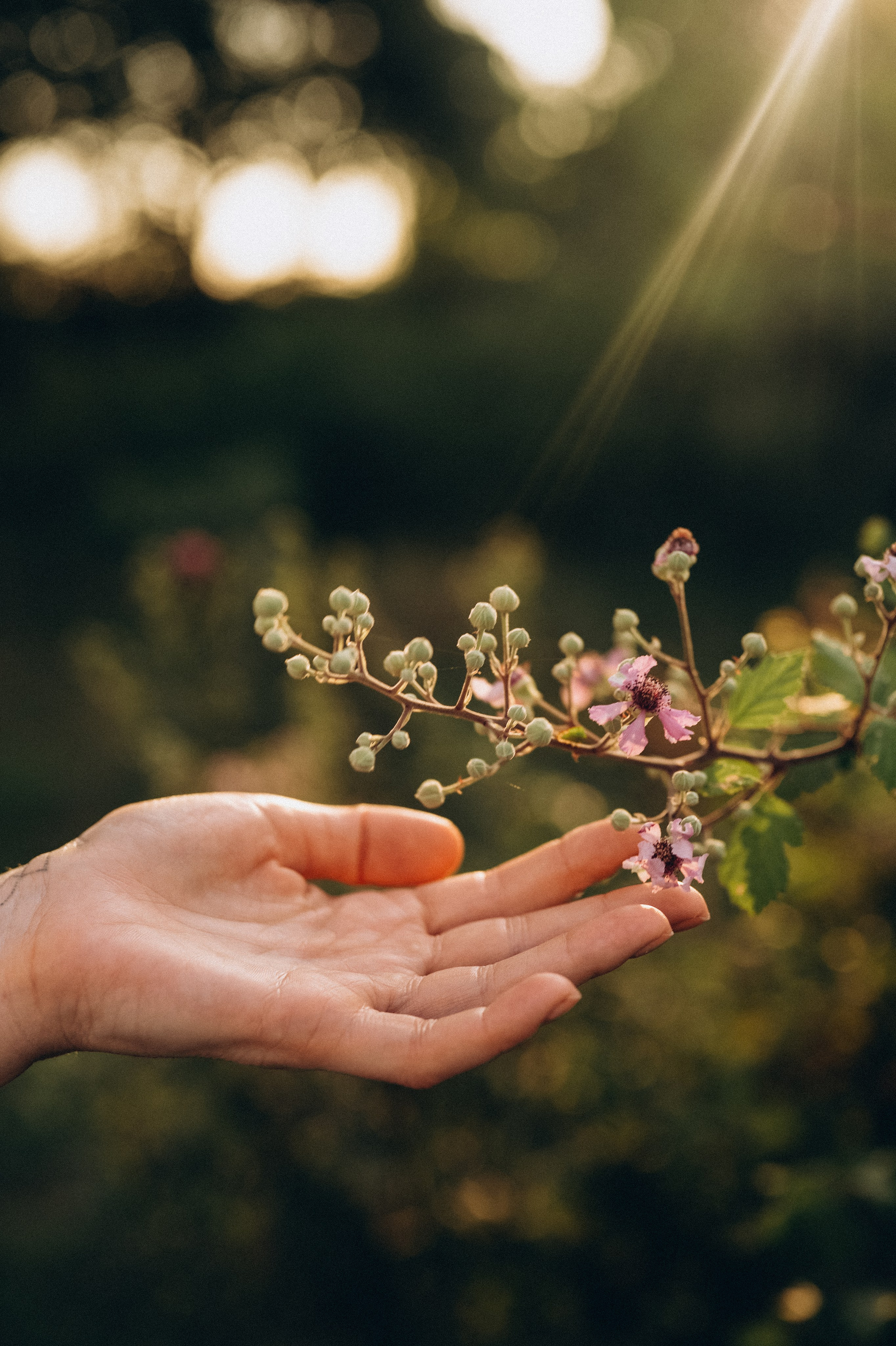 Екатерина. Семейный свадебный фотограф Екатеринбург Первоуральск Шарнина Алёна