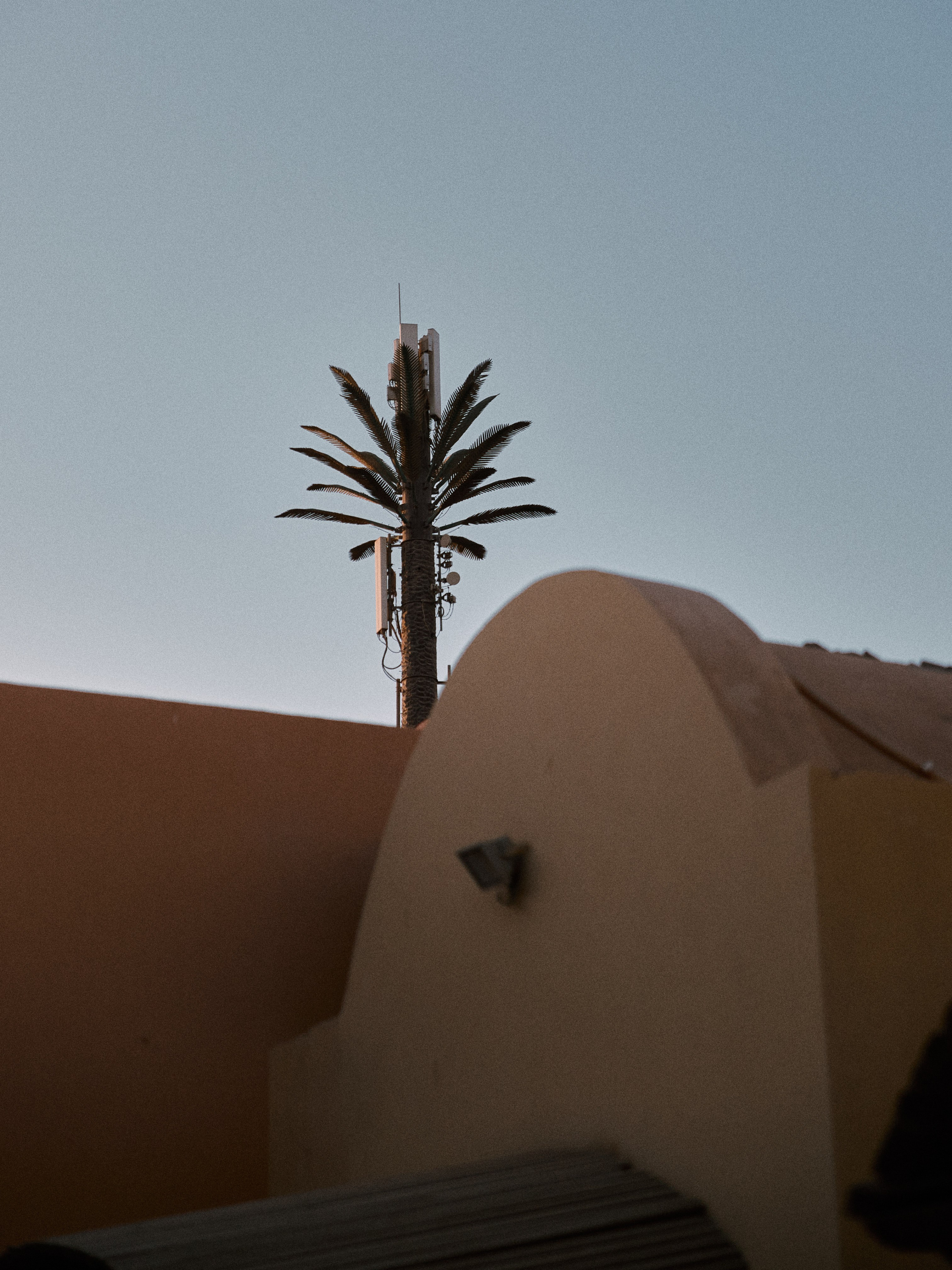 Другое 2. Jorgis Talè — photographer, kind person, teacher of arts and other mag