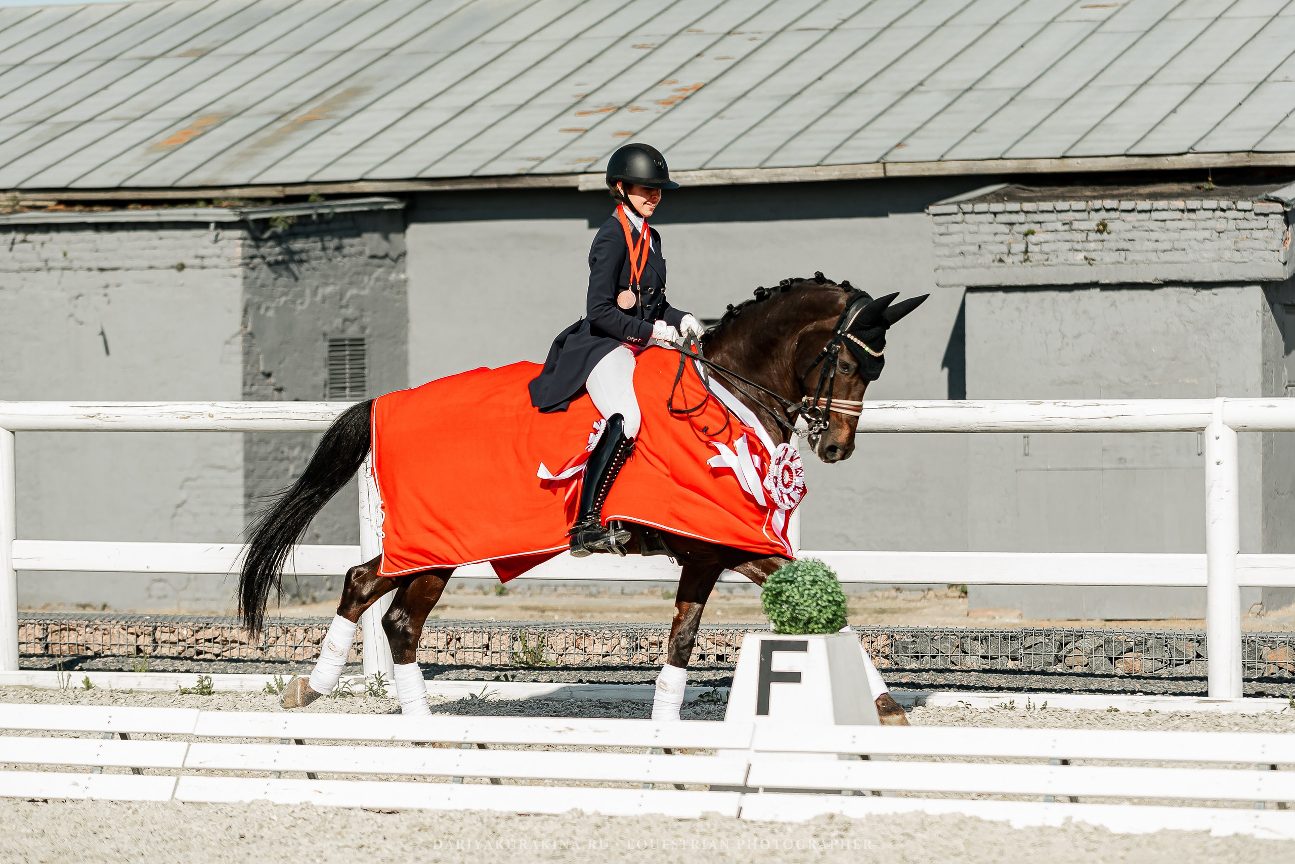 РЕПОРТАЖ МКК ВОЛЬТ «LA TULIPS». Конный фотограф Куракина Дарья • Фотосессии с лошадьми
