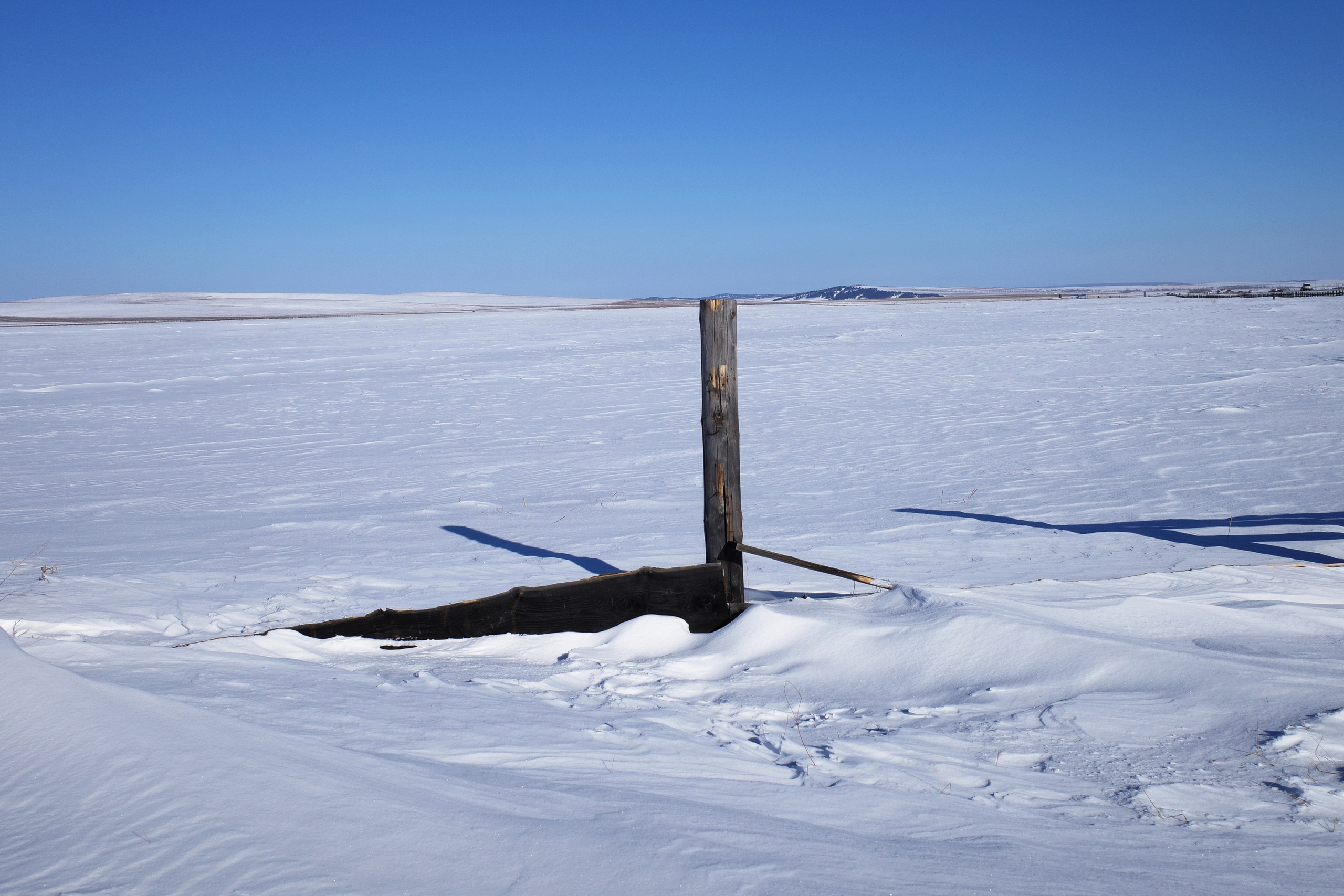 Безмолвие пустоши. Междисциплинарный художник Екатерина Старовойтова