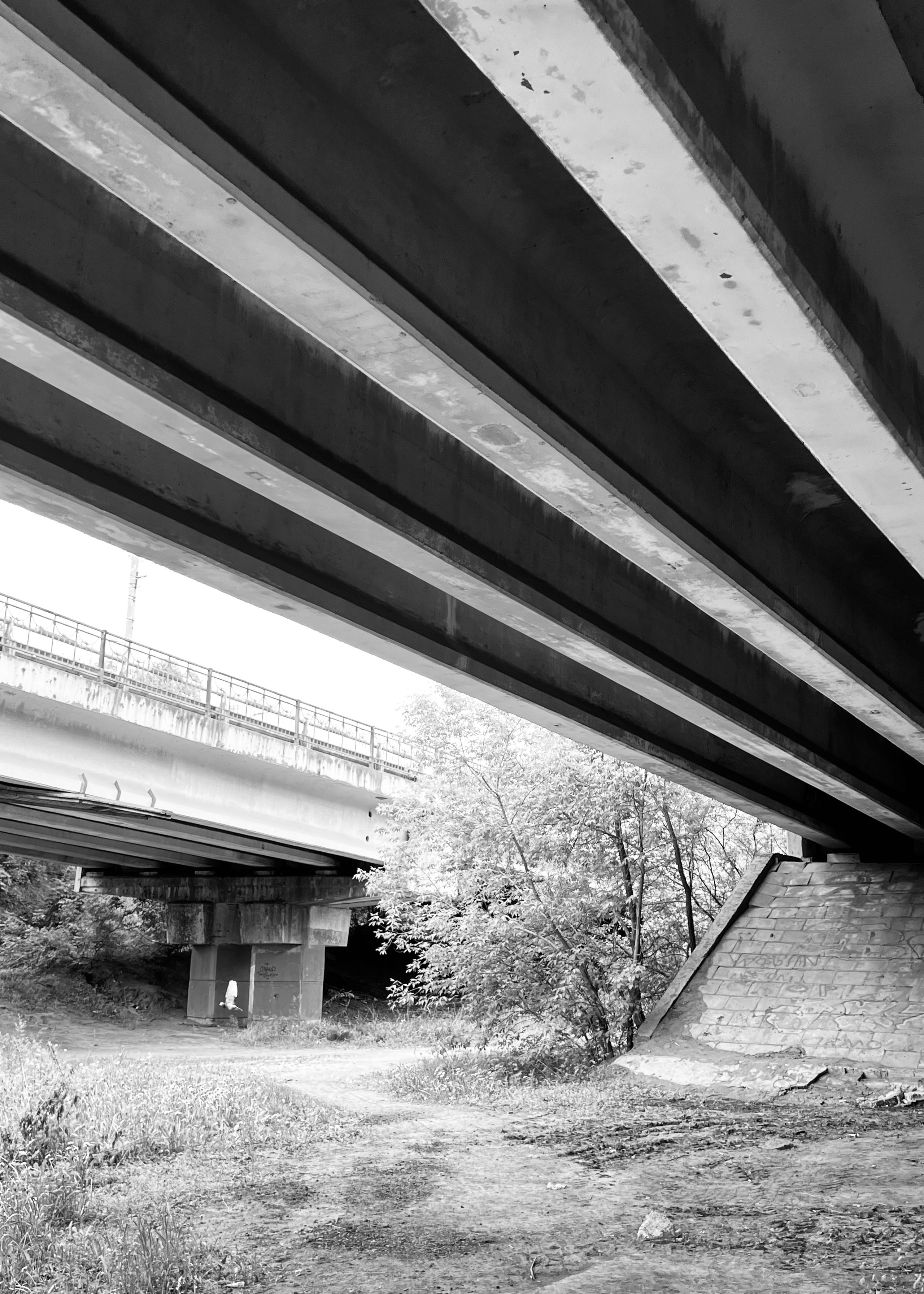 Frame 34 / 34 кадр. Художник Катерина Копейкина / Artist Katerina Kopeikina