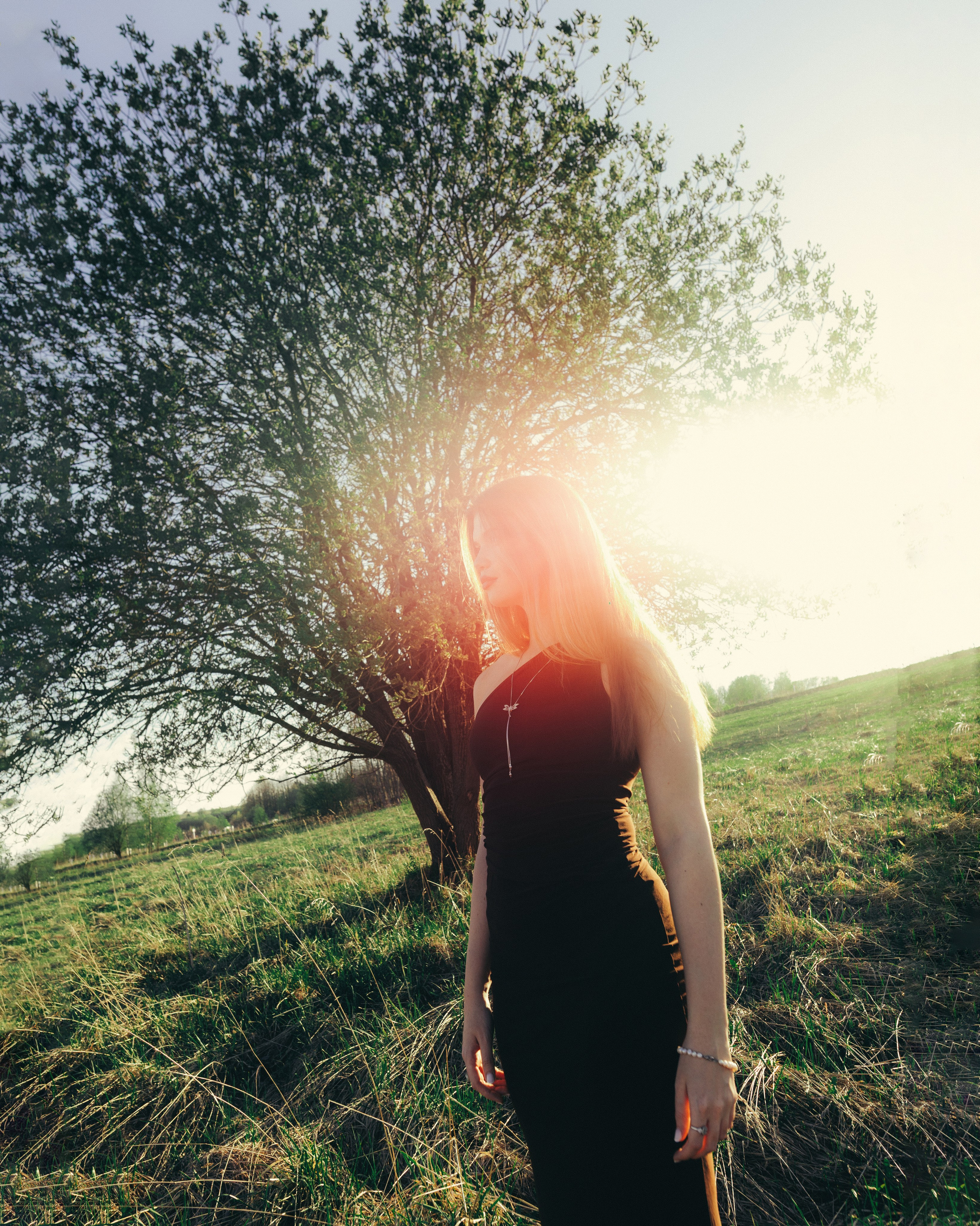 Garden. Sun Betty — кинофотограф Элизабет