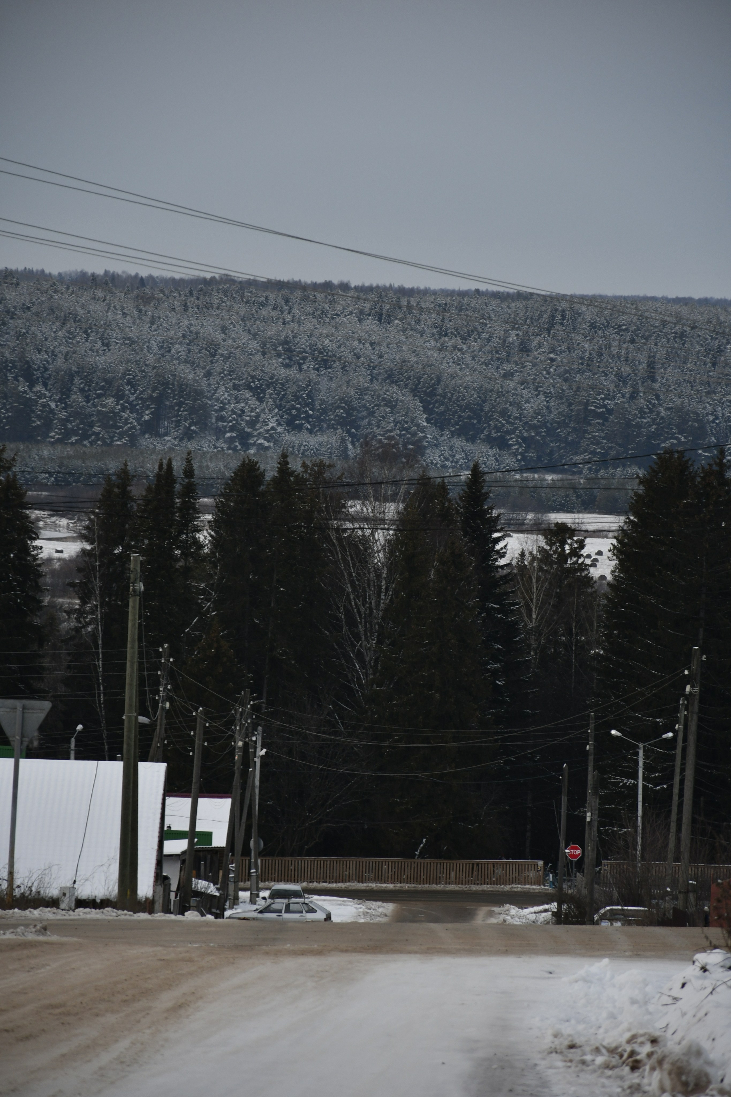 Природа. Анастасия Куц | фотограф | Пермский край