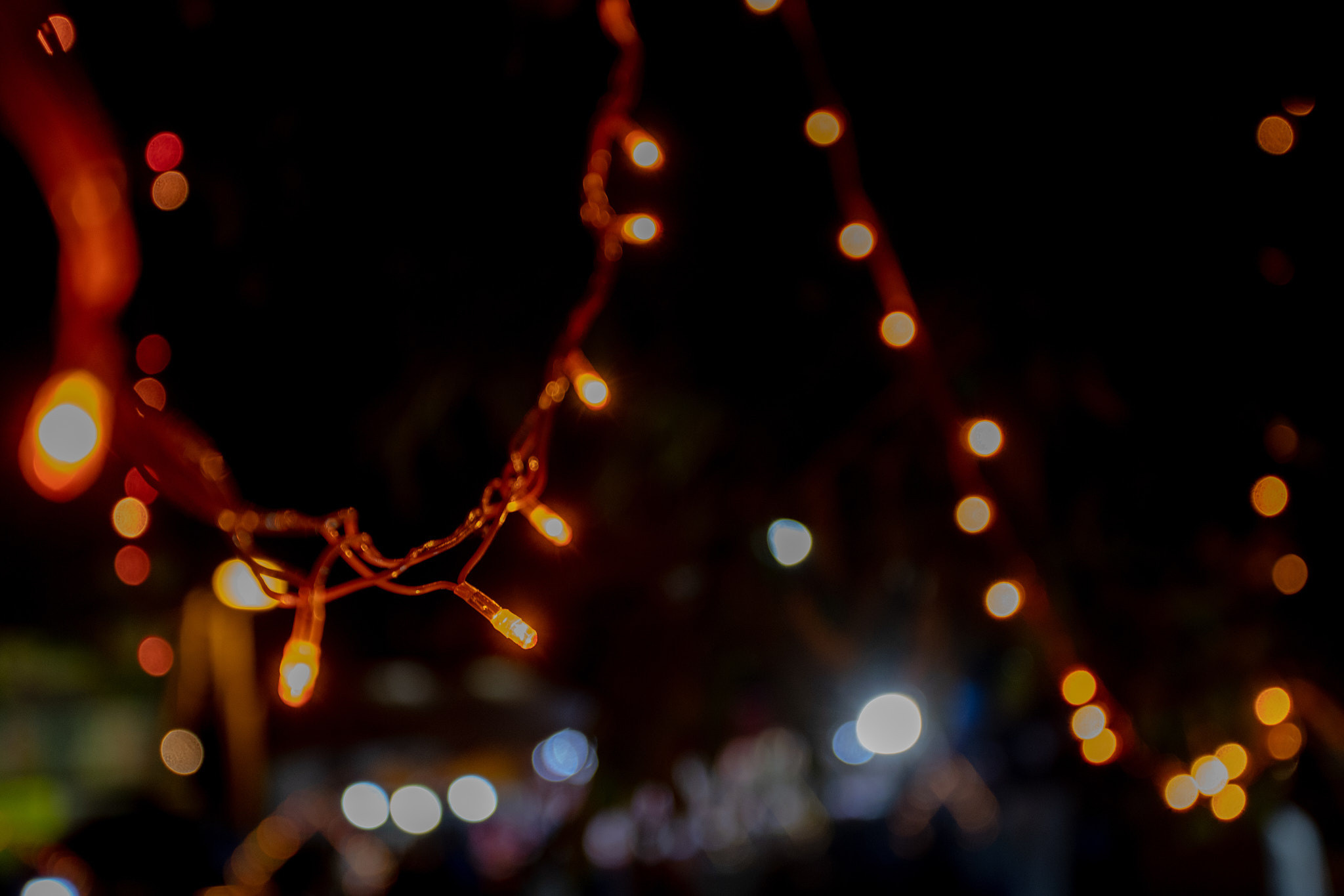 Адхи Эсала Пойя 2023. Фотограф Сонкина Татьяна