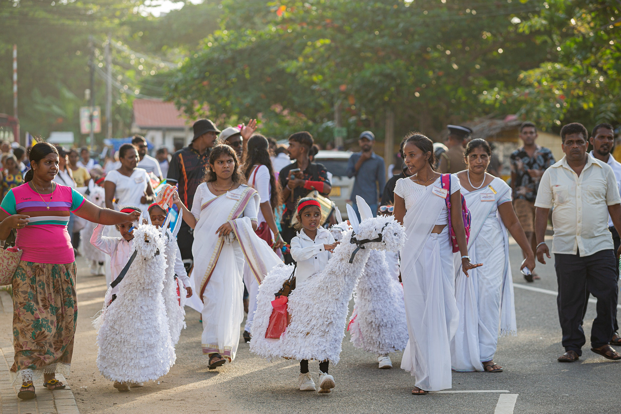 Festival Perahera Adhi Esala 2023. Photographer Sonkina Tatiana (Tanya Ash)