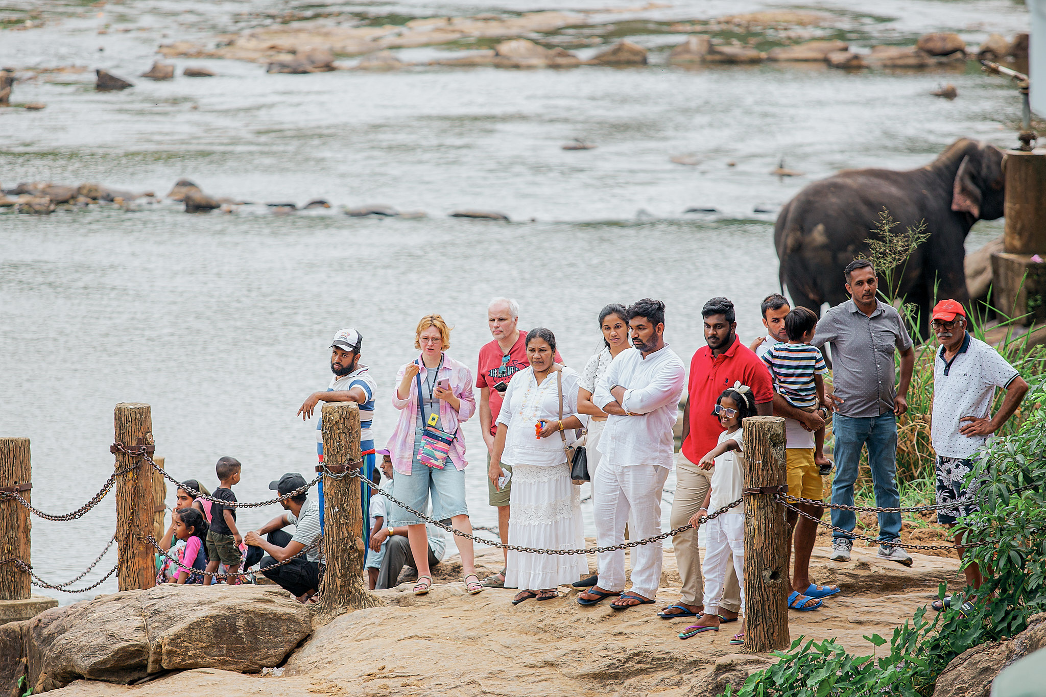 Слоновий питомник Пиннавела. Фотограф Сонкина Татьяна