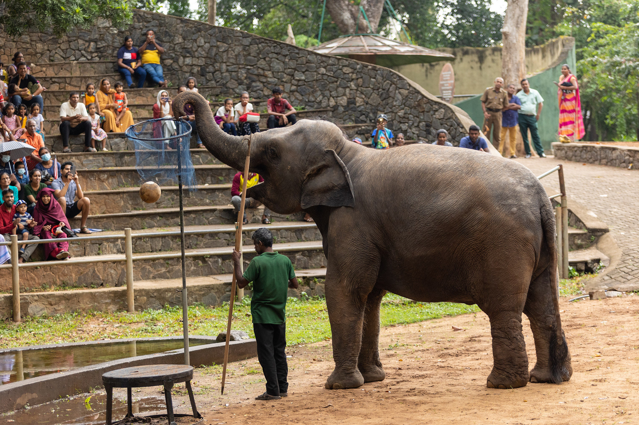 Зоопарк Дехивала. Фотограф Сонкина Татьяна