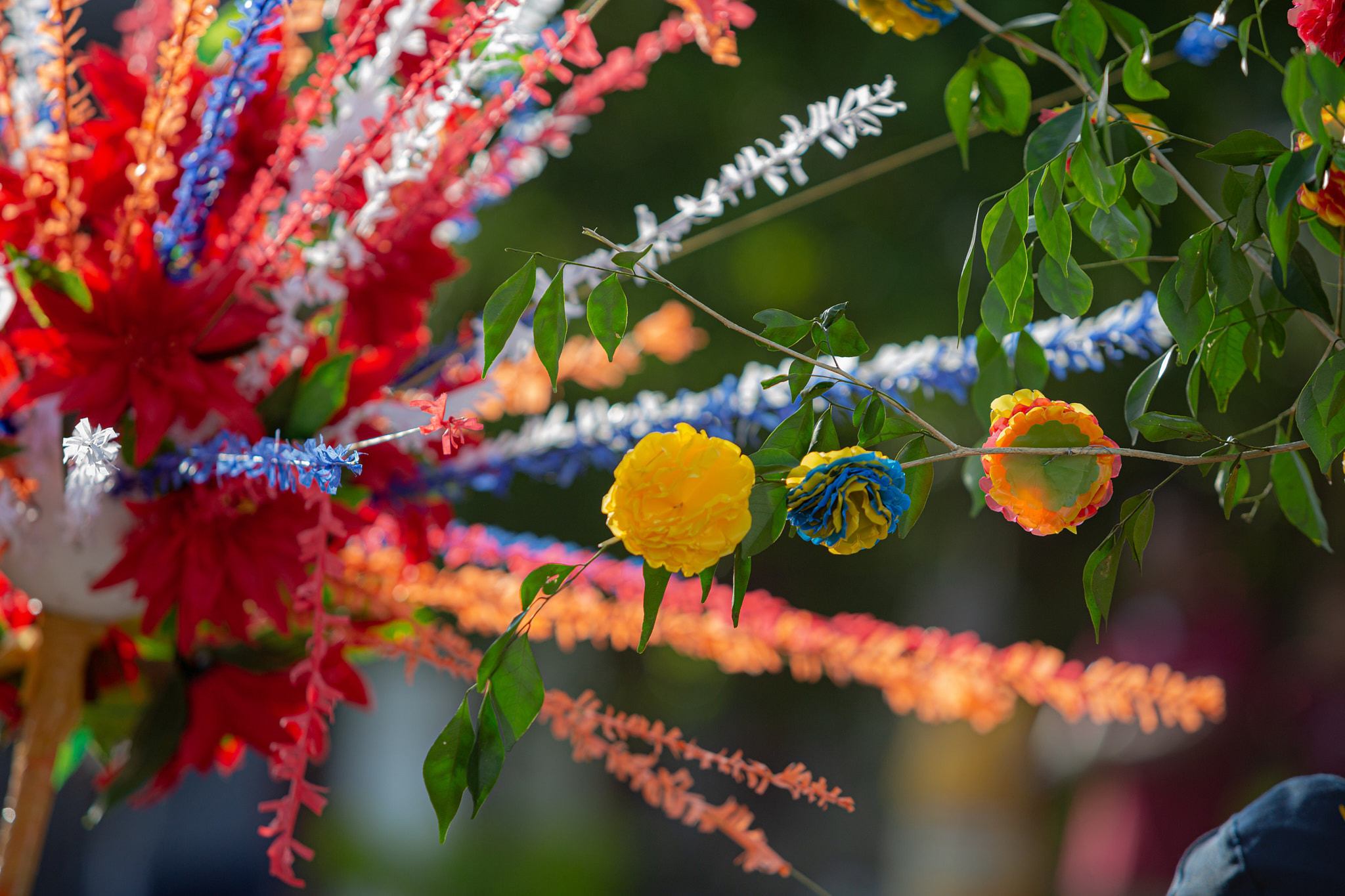 Festival Perahera Adhi Esala 2023. Photographer Sonkina Tatiana (Tanya Ash)
