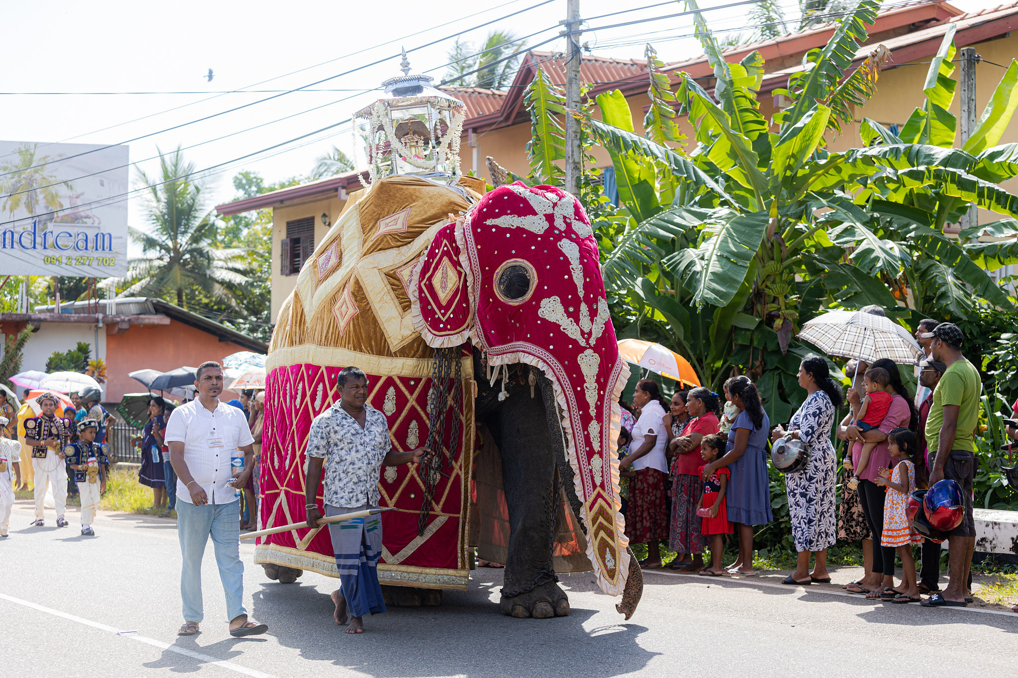 Festival Perahera Adhi Esala 2023. Photographer Sonkina Tatiana (Tanya Ash)