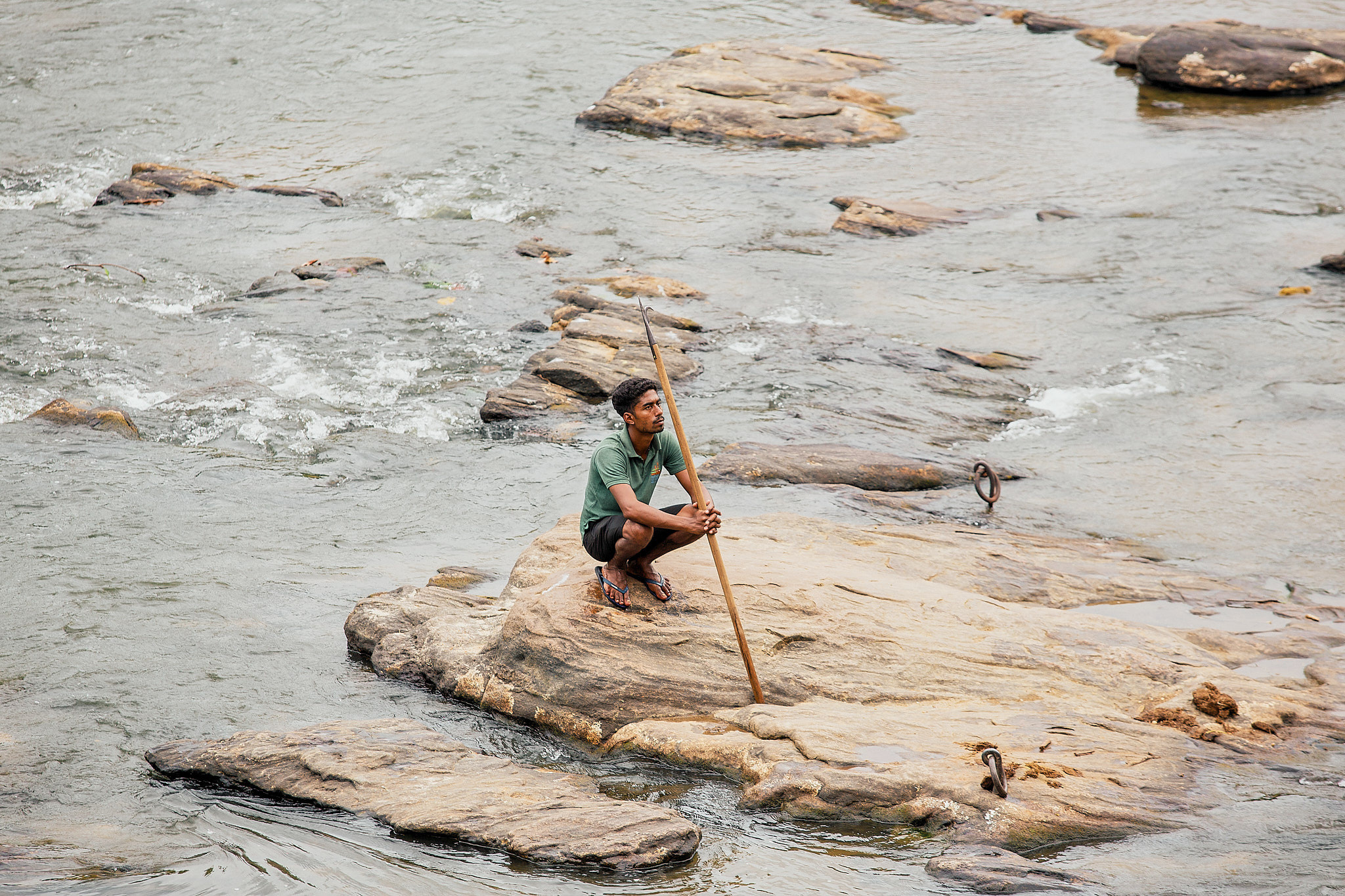 Слоновий питомник Пиннавела. Фотограф Сонкина Татьяна
