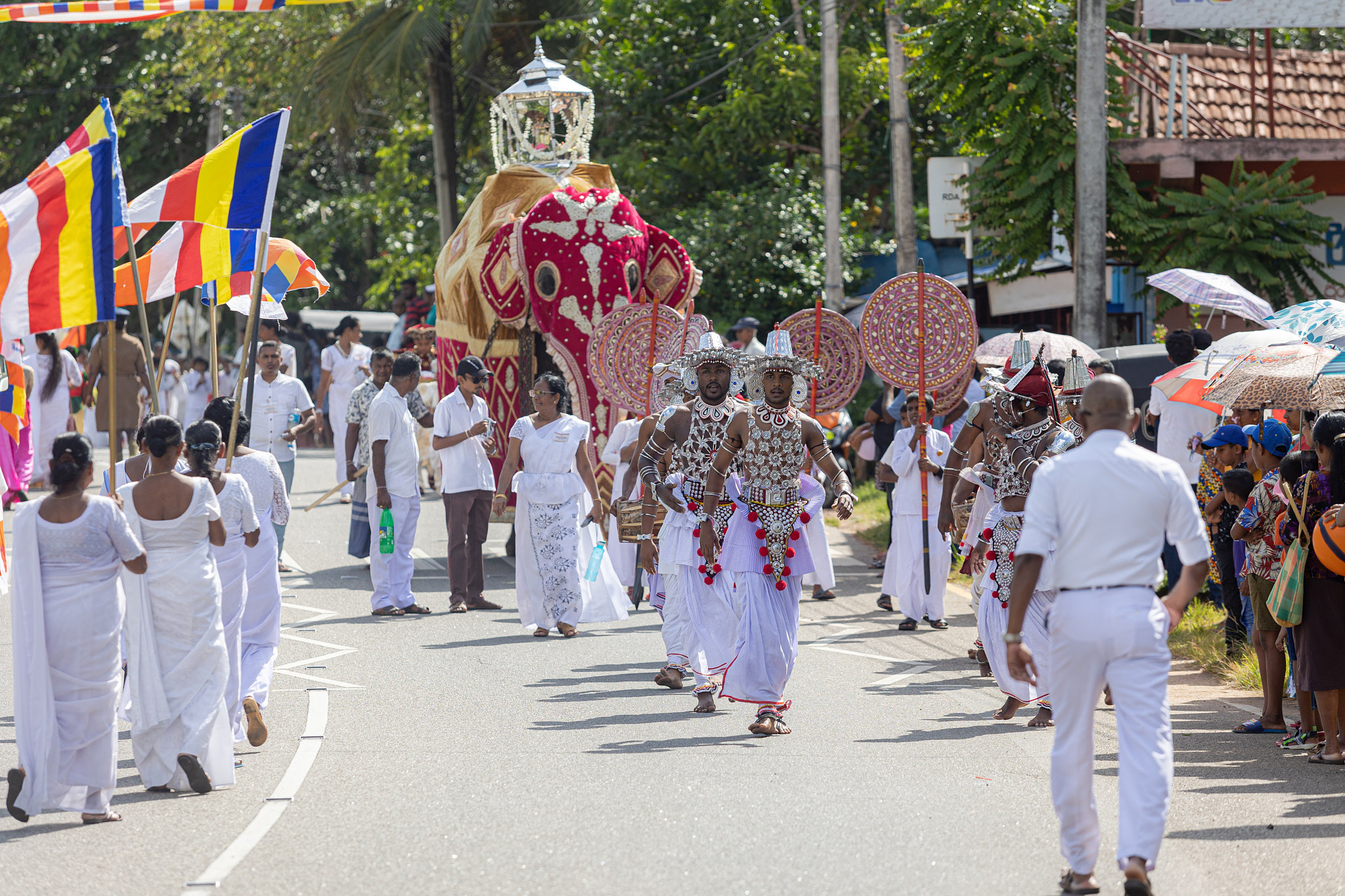 Festival Perahera Adhi Esala 2023. Photographer Sonkina Tatiana (Tanya Ash)