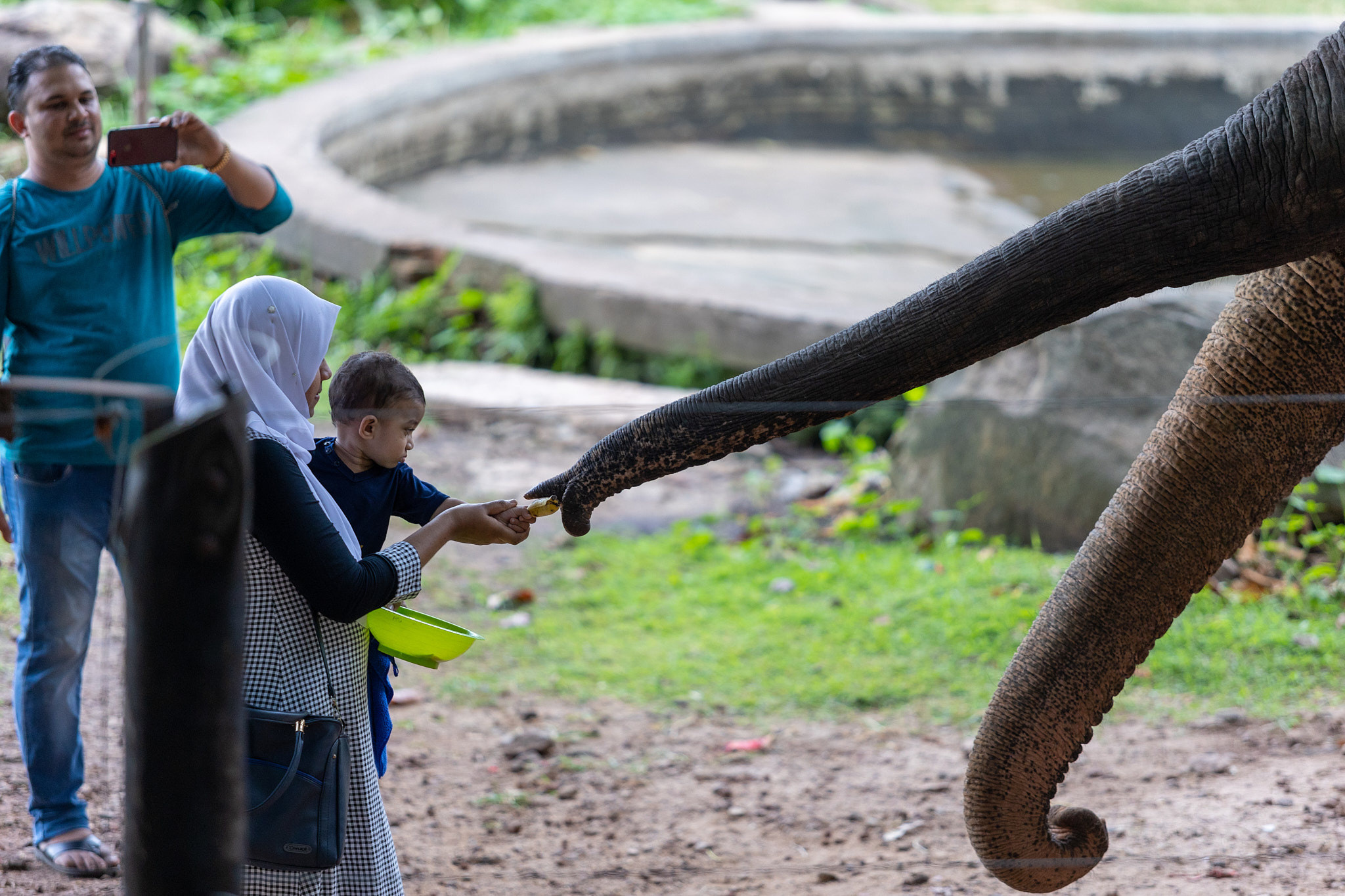 Зоопарк Дехивала. Фотограф Сонкина Татьяна