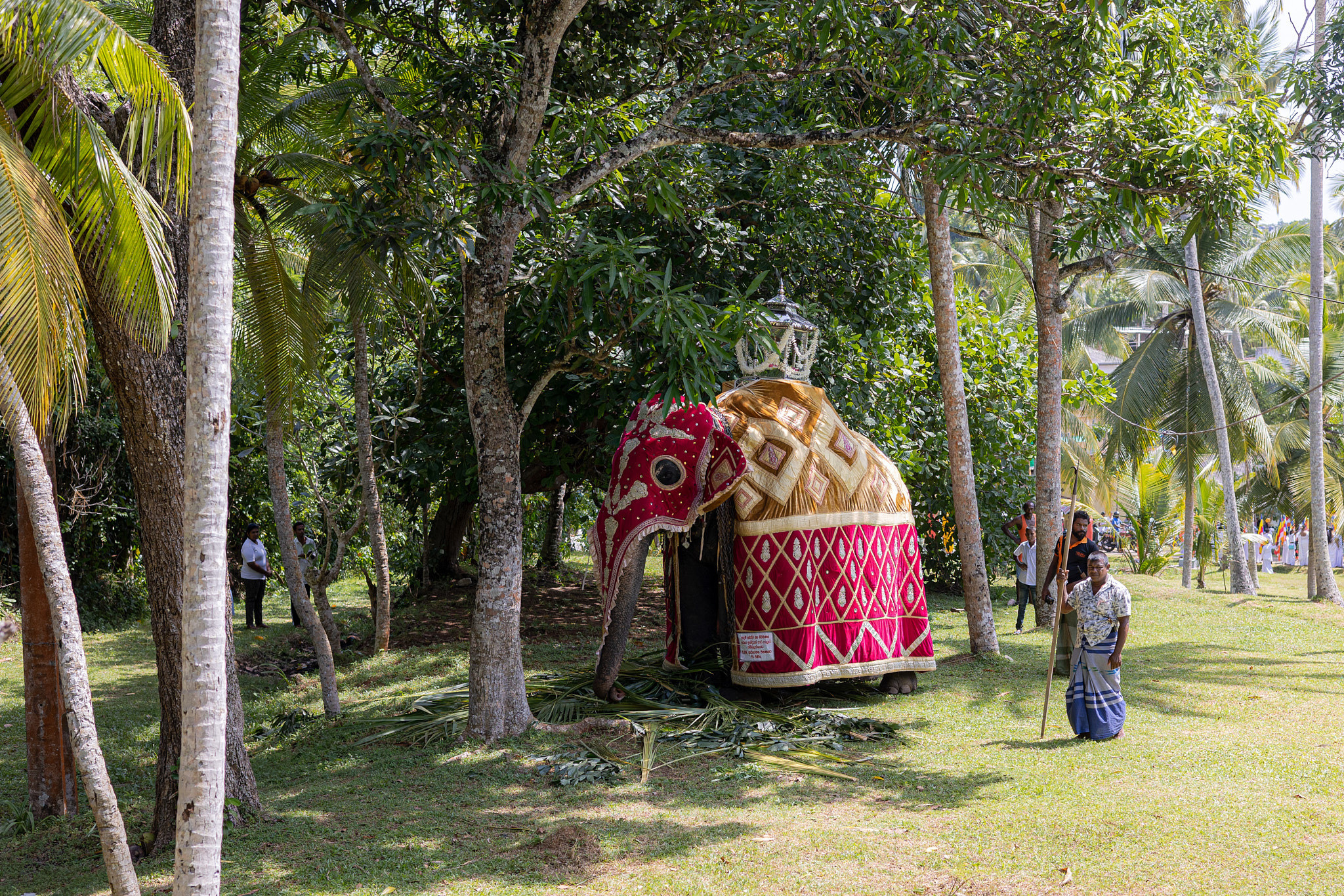 Festival Perahera Adhi Esala 2023. Photographer Sonkina Tatiana (Tanya Ash)