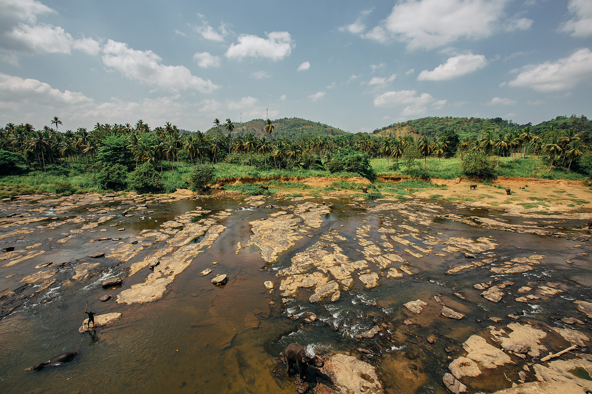 Слоновий питомник Пиннавела. Фотограф Сонкина Татьяна