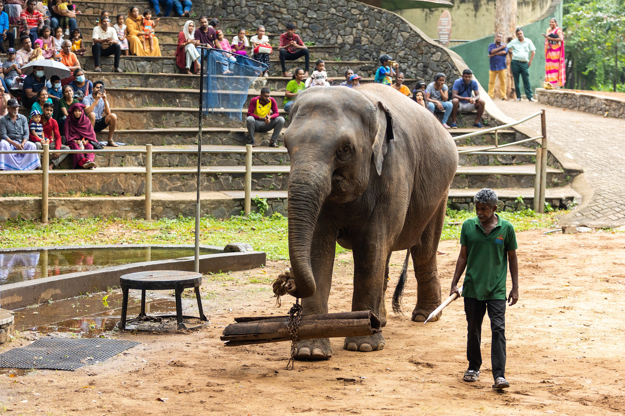 Зоопарк Дехивала. Фотограф Сонкина Татьяна
