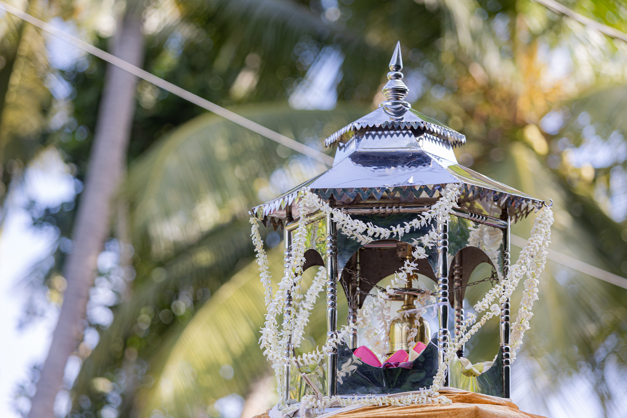 Festival Perahera Adhi Esala 2023. Photographer Sonkina Tatiana (Tanya Ash)