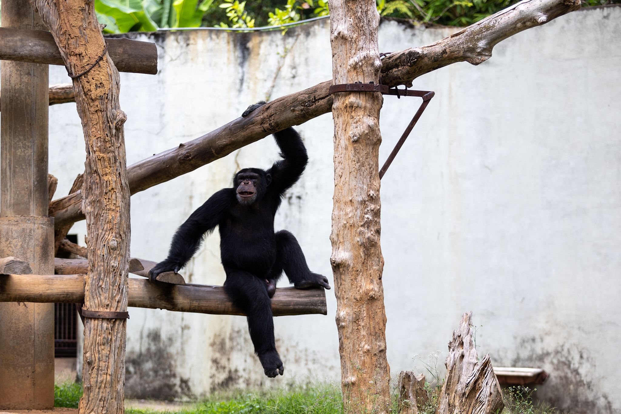 Зоопарк Дехивала. Фотограф Сонкина Татьяна