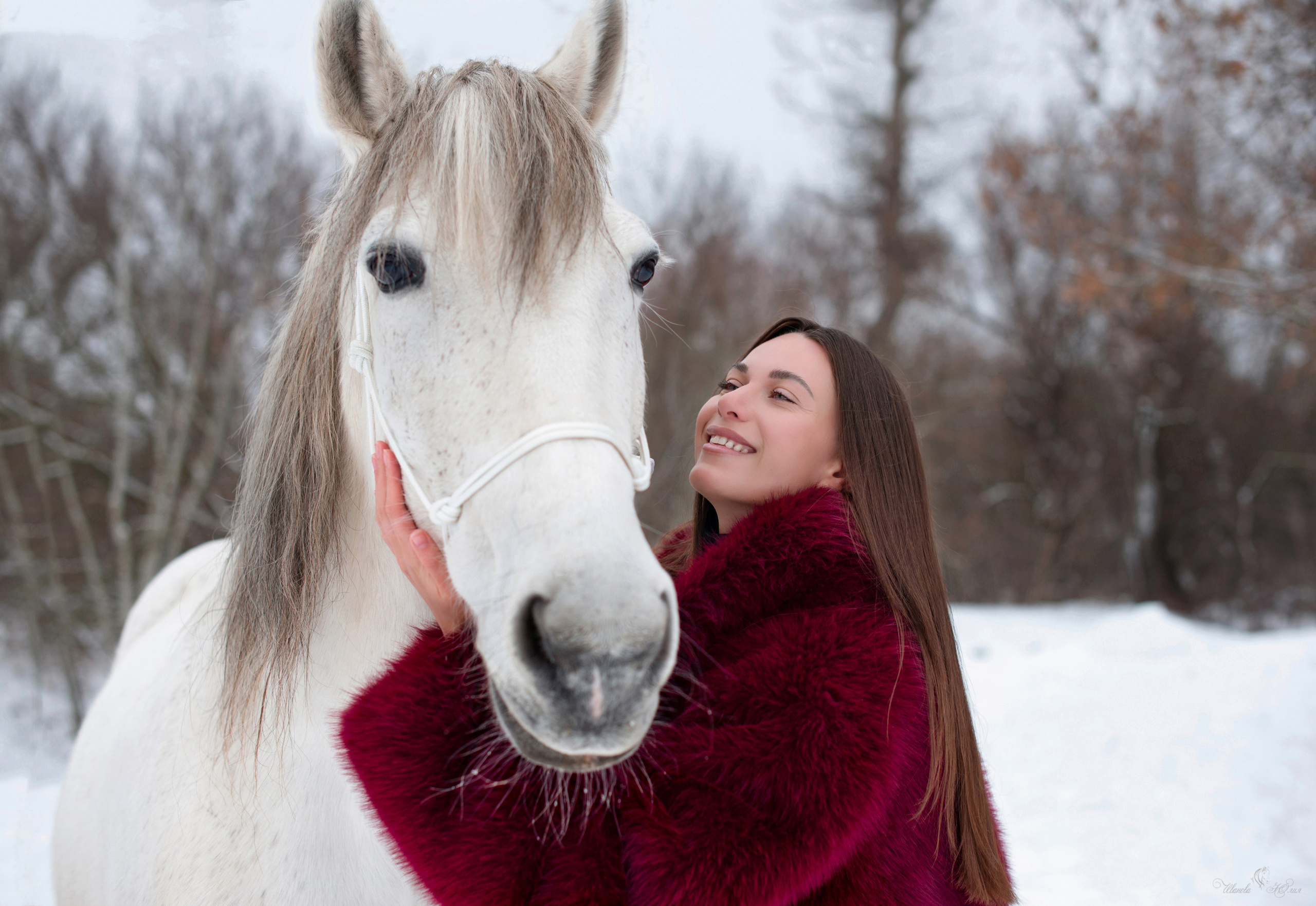 Кристина и Стрелка. Конный фотограф в Саратове Юлия Иванова