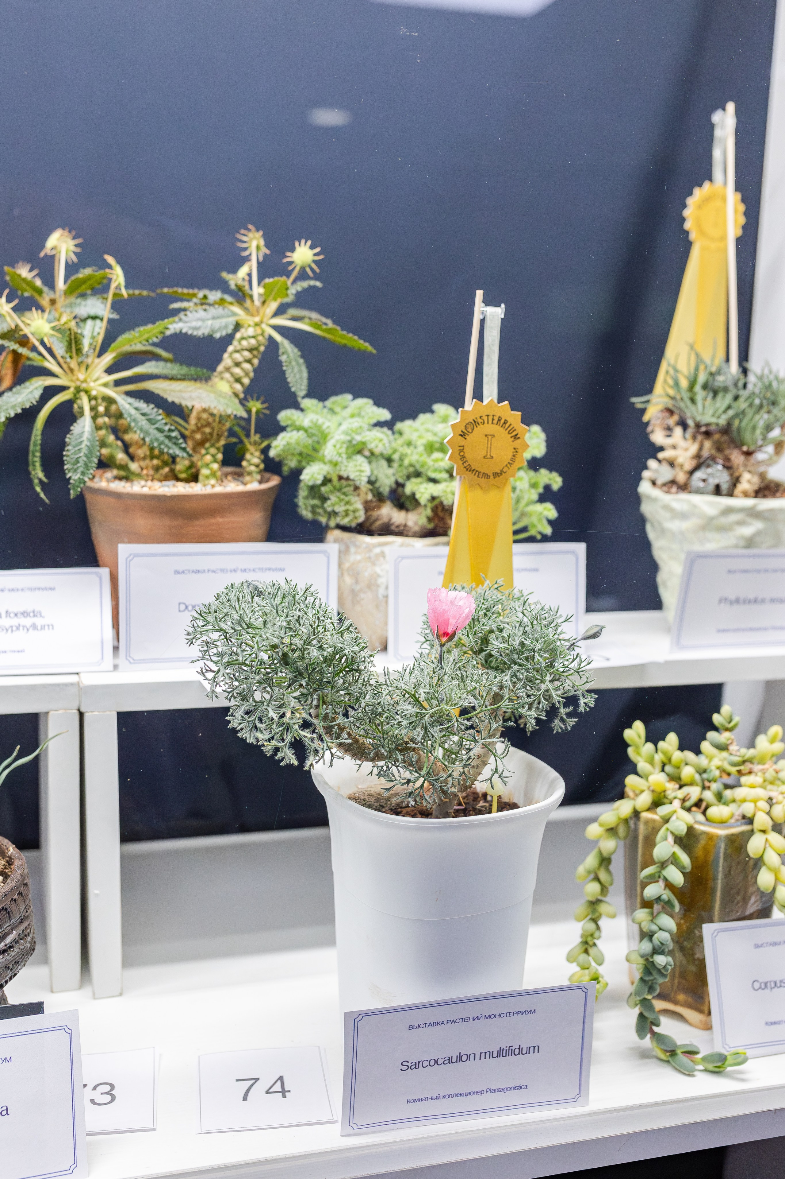 Монстериум апрель 2026. Александра Куликова фотограф, Москва