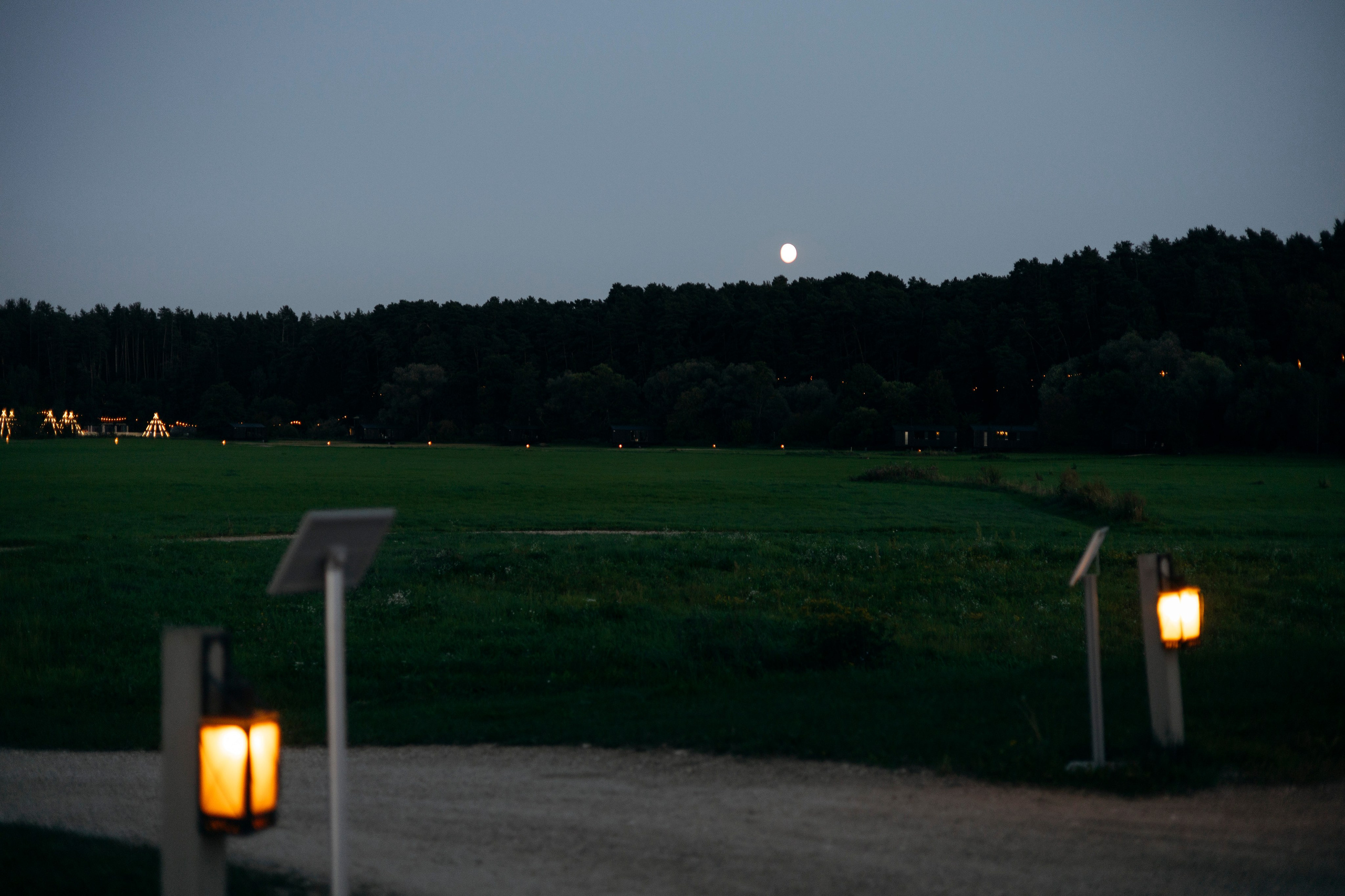 Артём и Вероника pine river. Nikolpinhasova