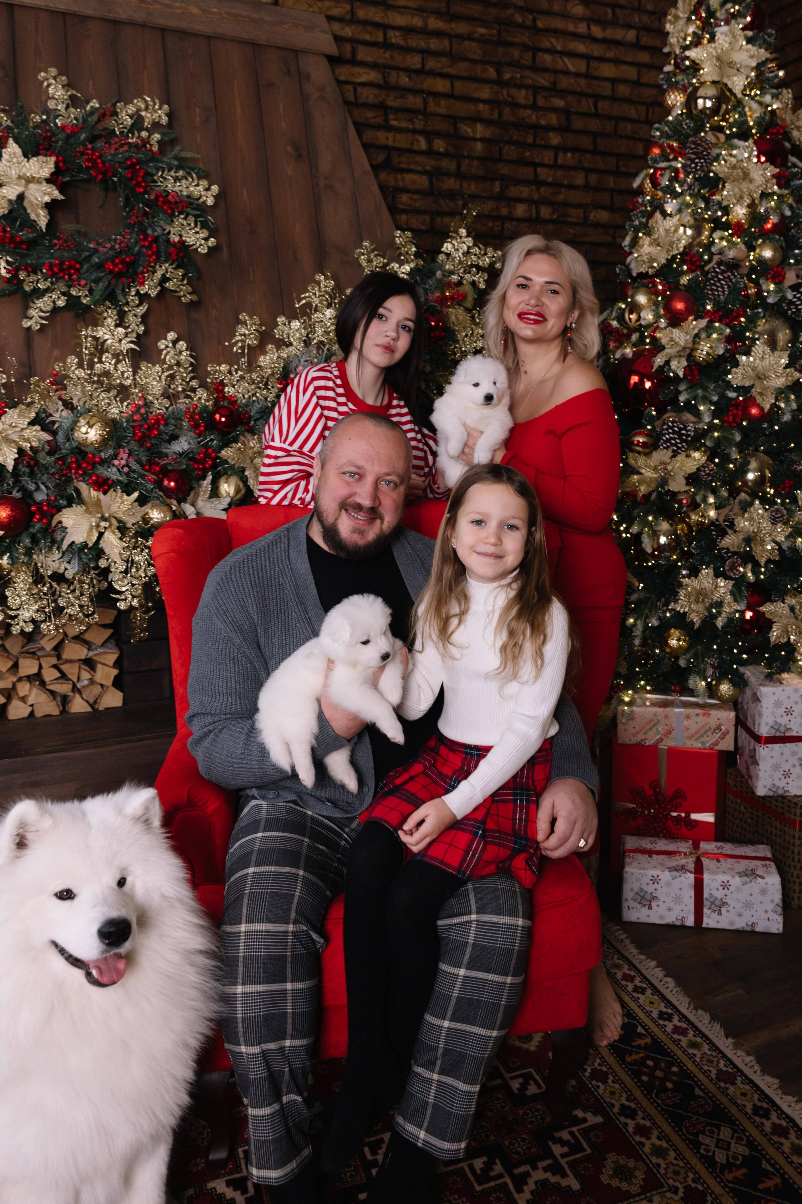 Отзывы. Самоед Новосибирск