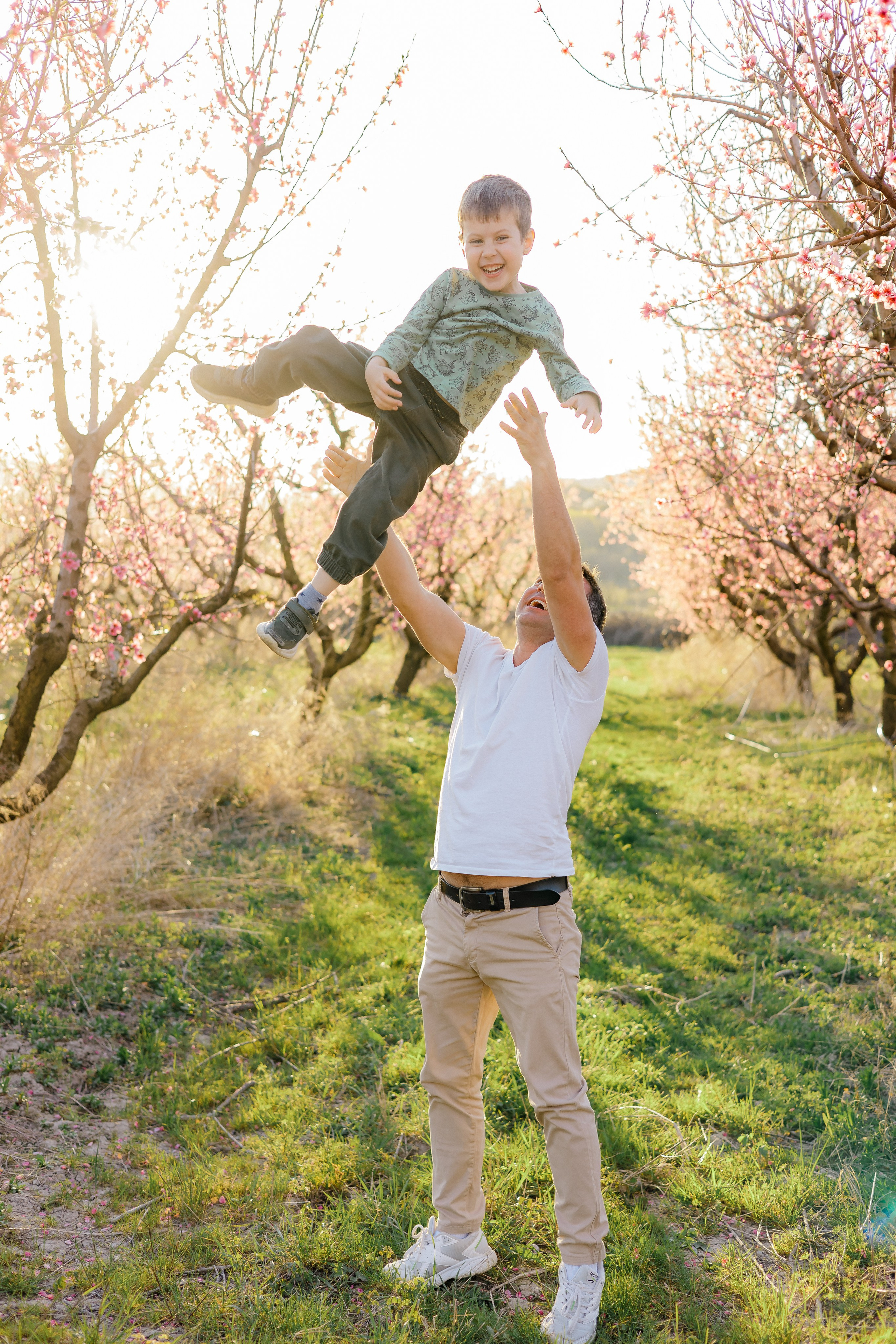 Закат в персиковом саду