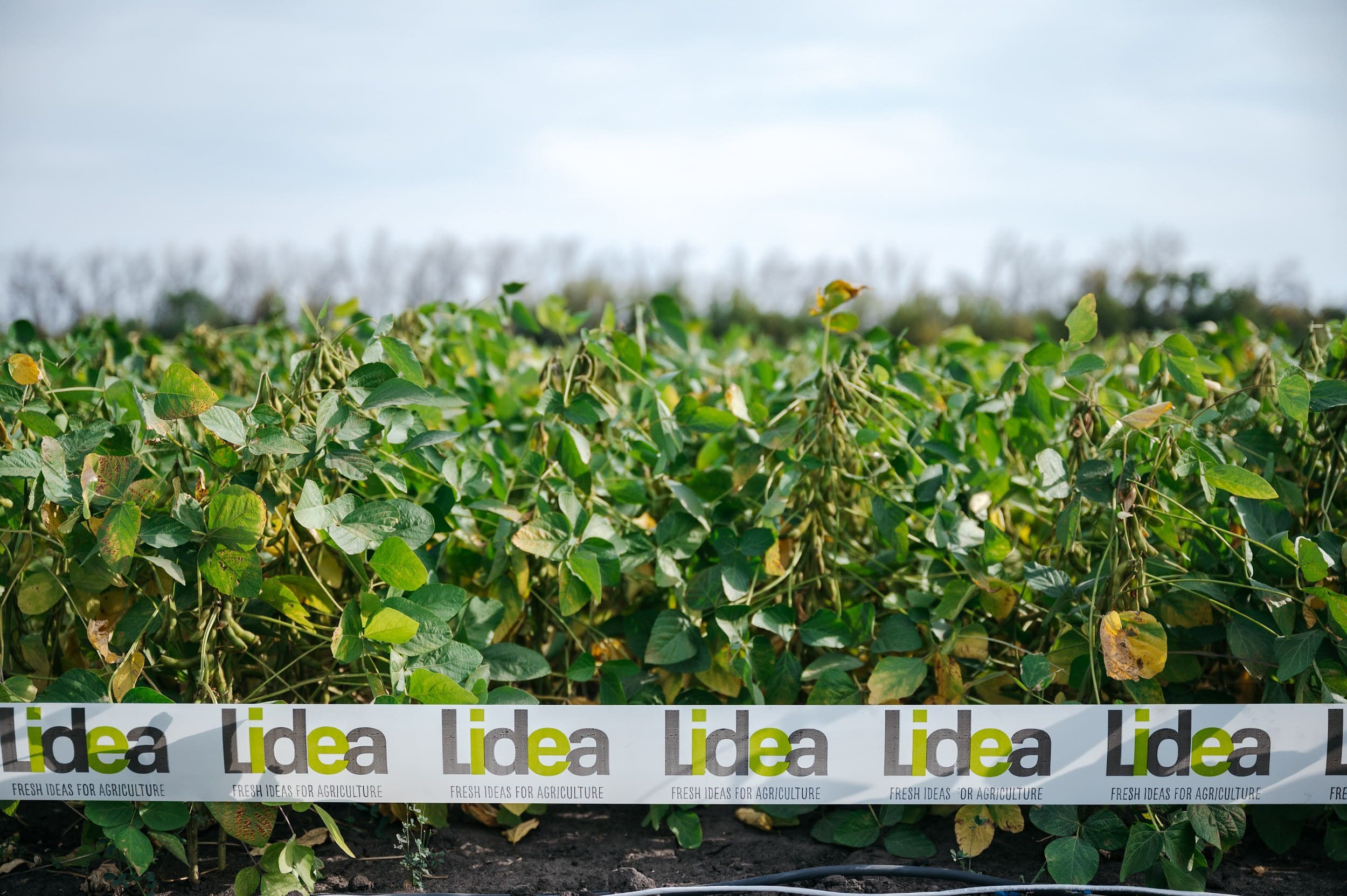 LIDEA. Владимир Дьяконов — Индустриальный и репортажной фотограф в России