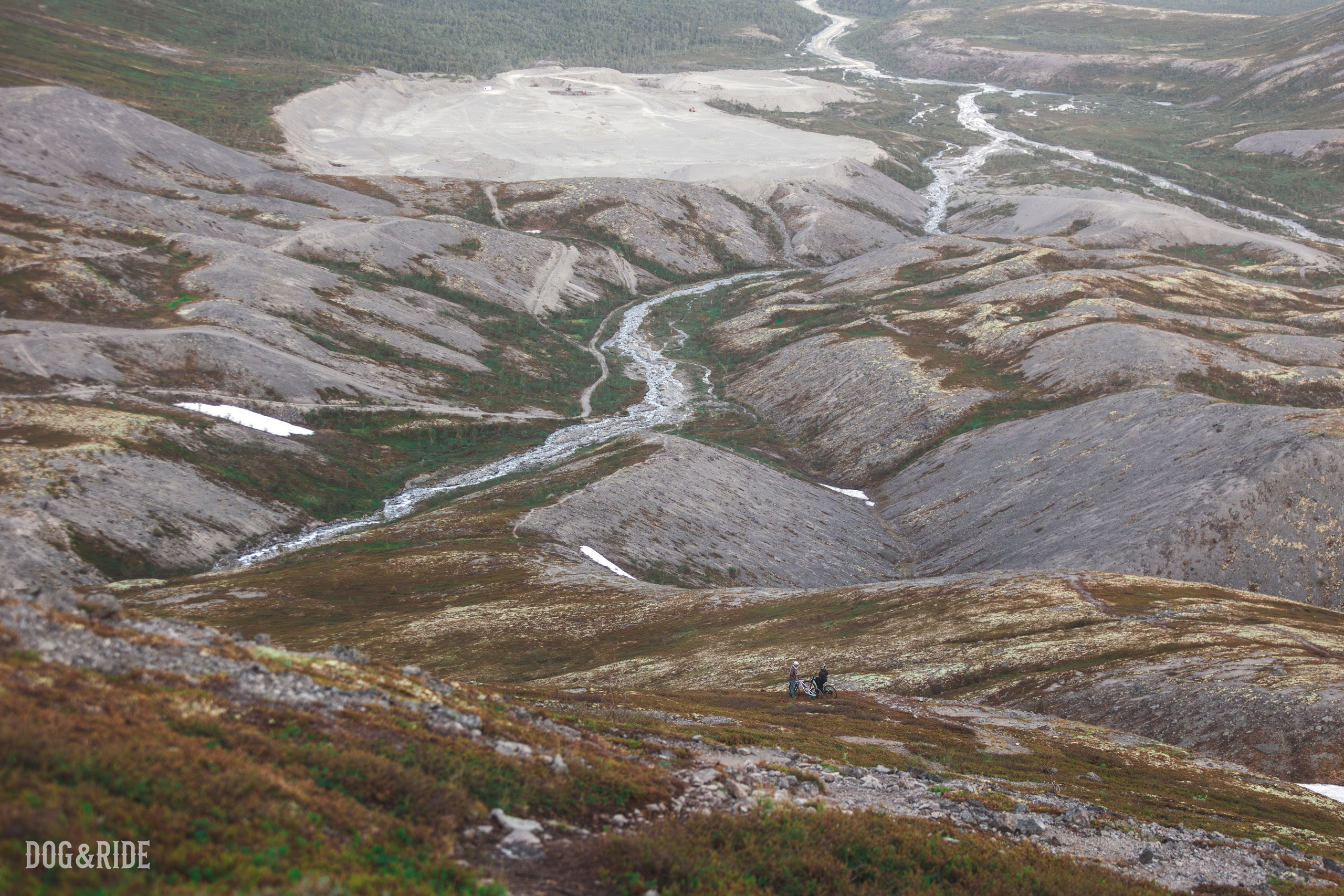 Хибины. Фотограф анималист Никита Натальный
