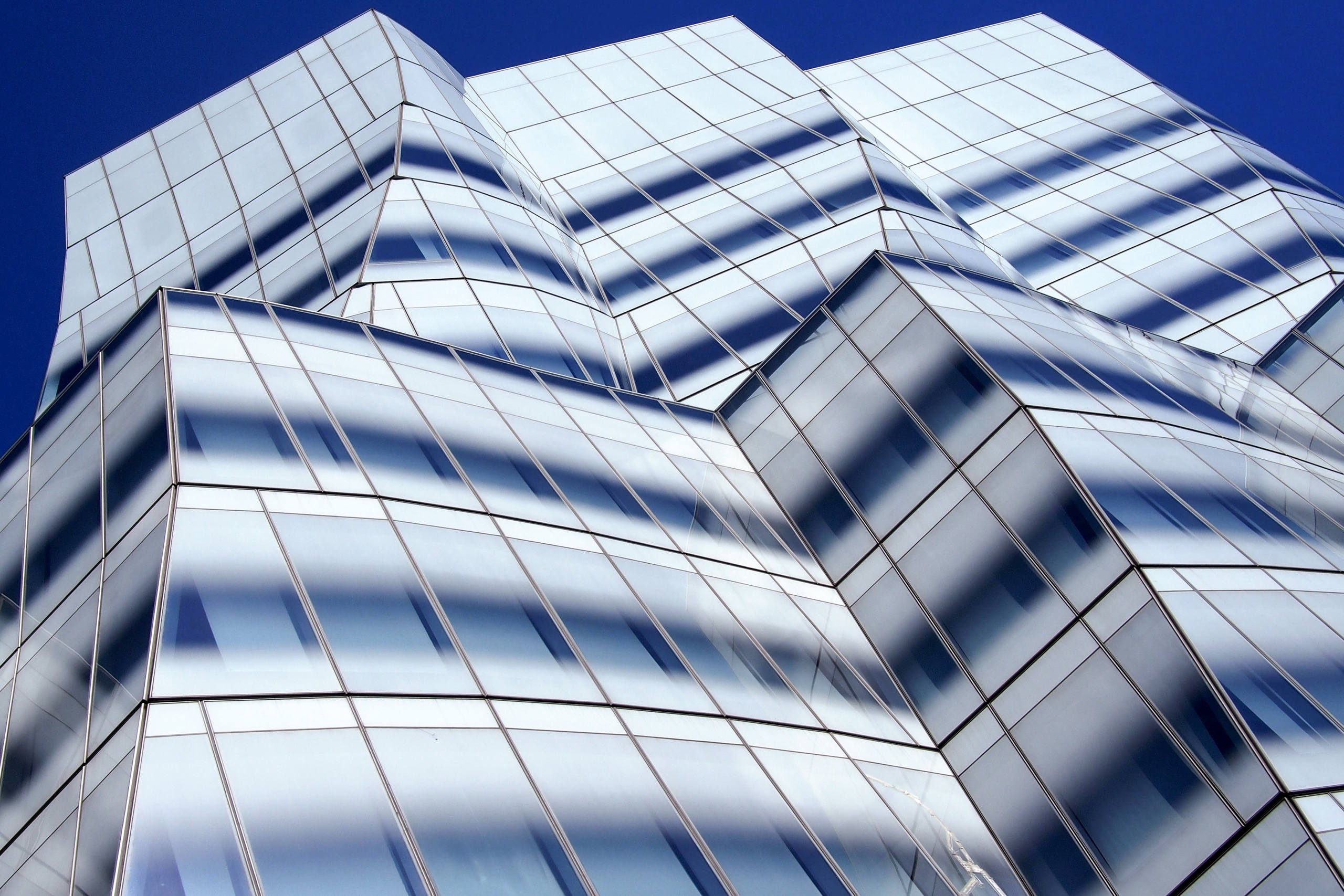 Однажды в Америке. Фотограф Дмитрий Алексеев