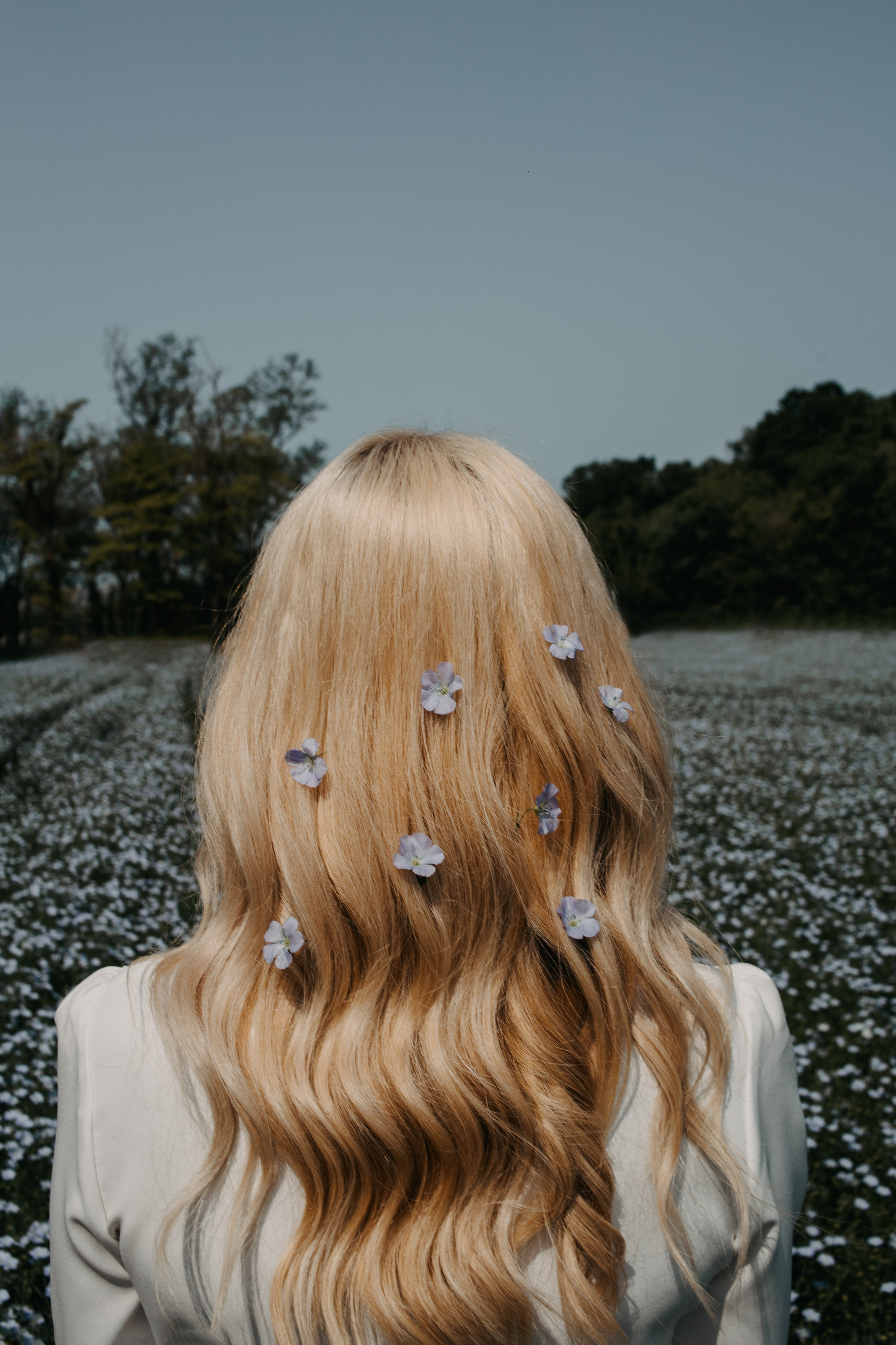 Фотосессия в поле льна. Свадебный и семейный фотограф в Краснодарском крае Мария Данилкина