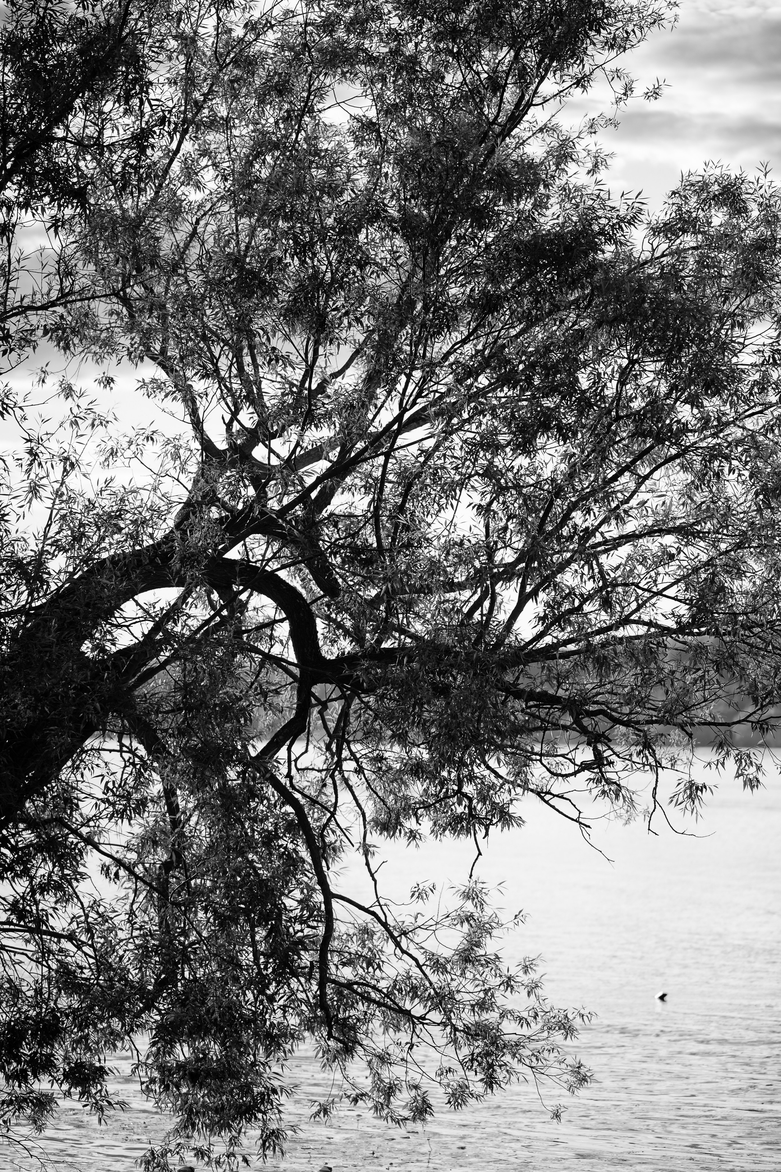 Улица и пейзаж. Oles Paritskiy