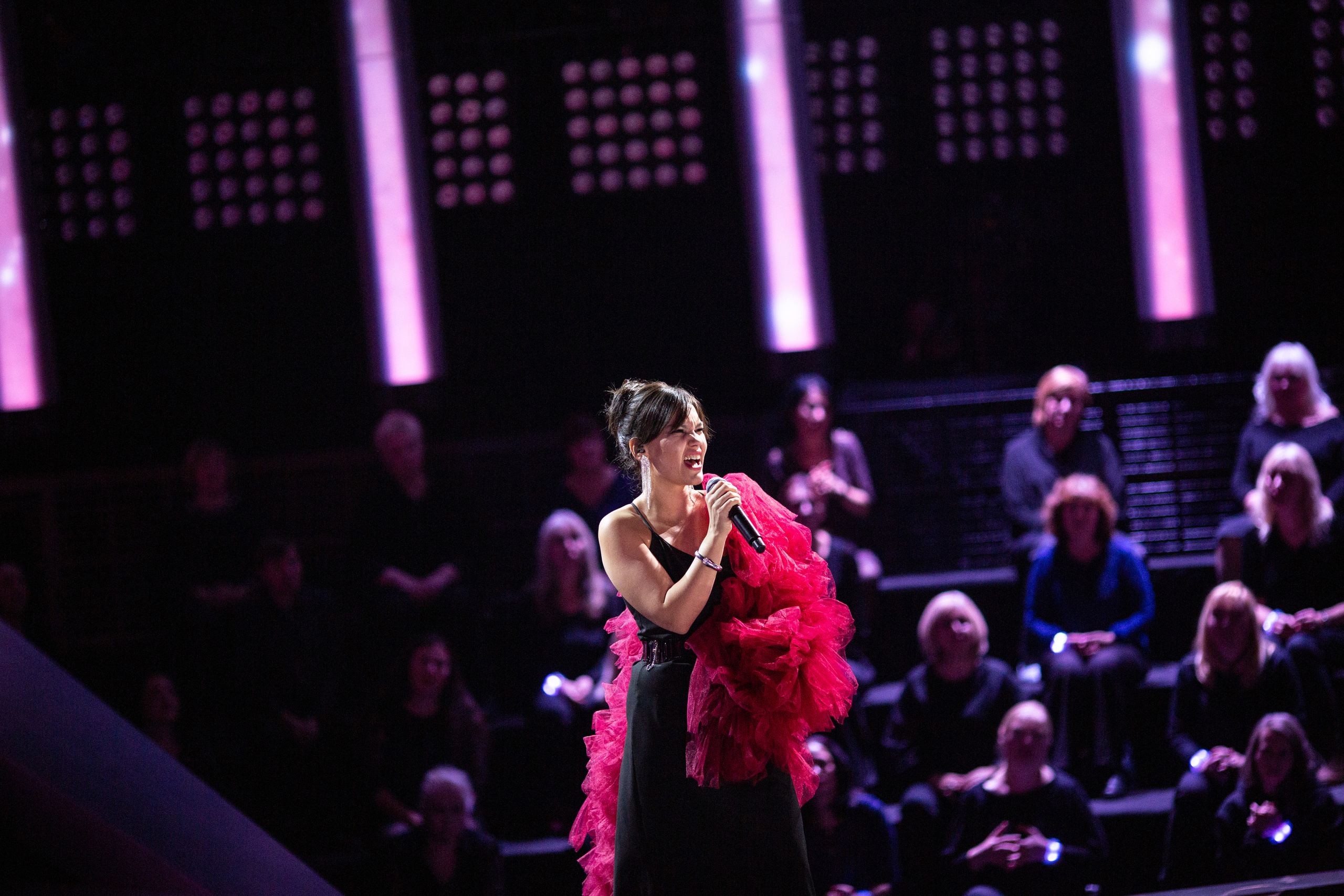 Новая звезда 2022. Свадебный и семейный фотограф