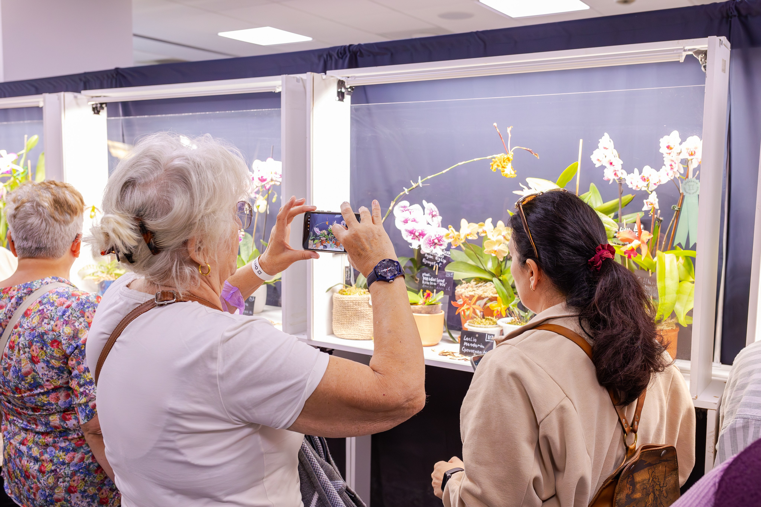 Орхидиум сентябрь 2025. Александра Куликова фотограф, Москва