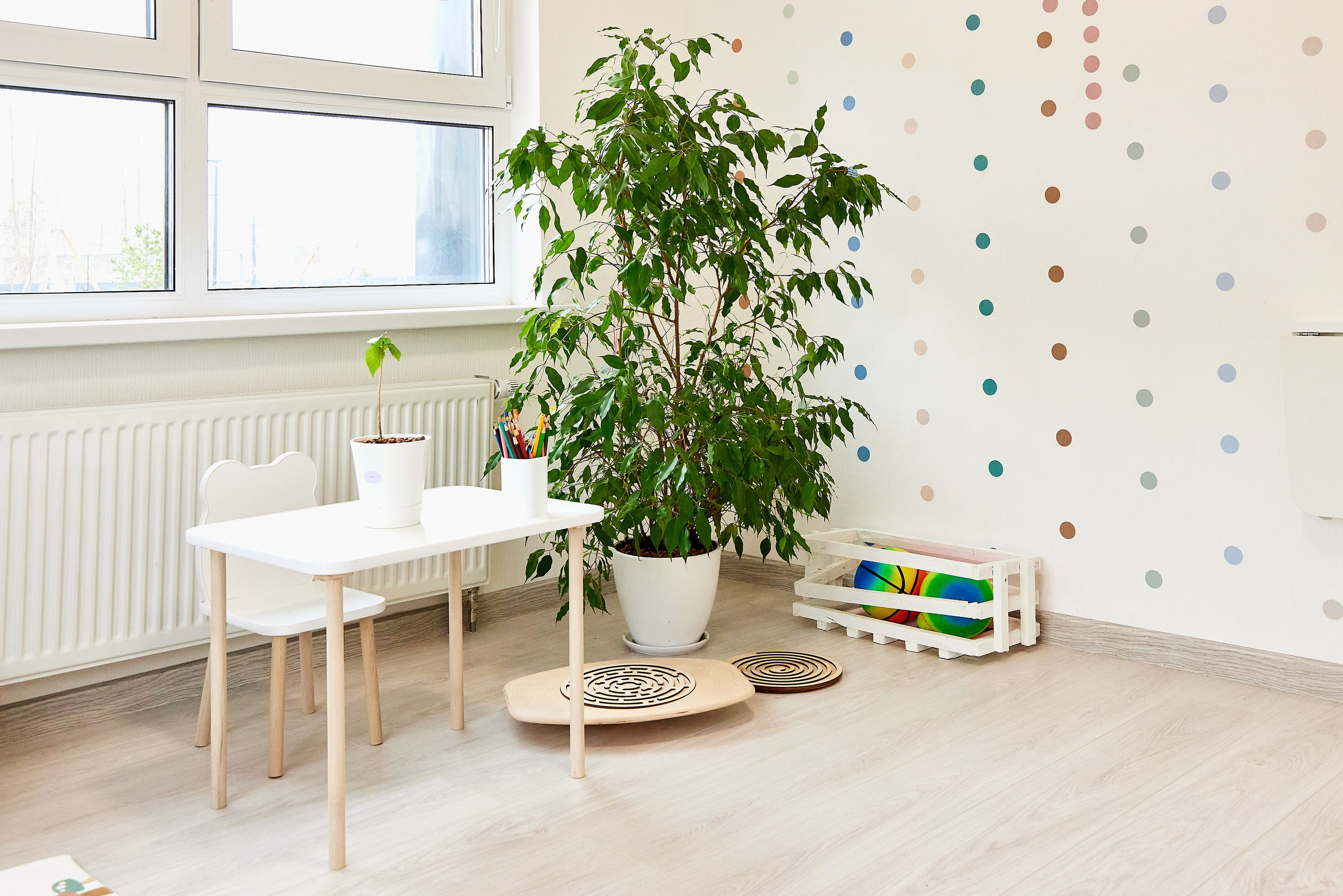 Психологический центр Миндальная связь. Фотограф Анастасия Леонтьева Санкт-Петербург