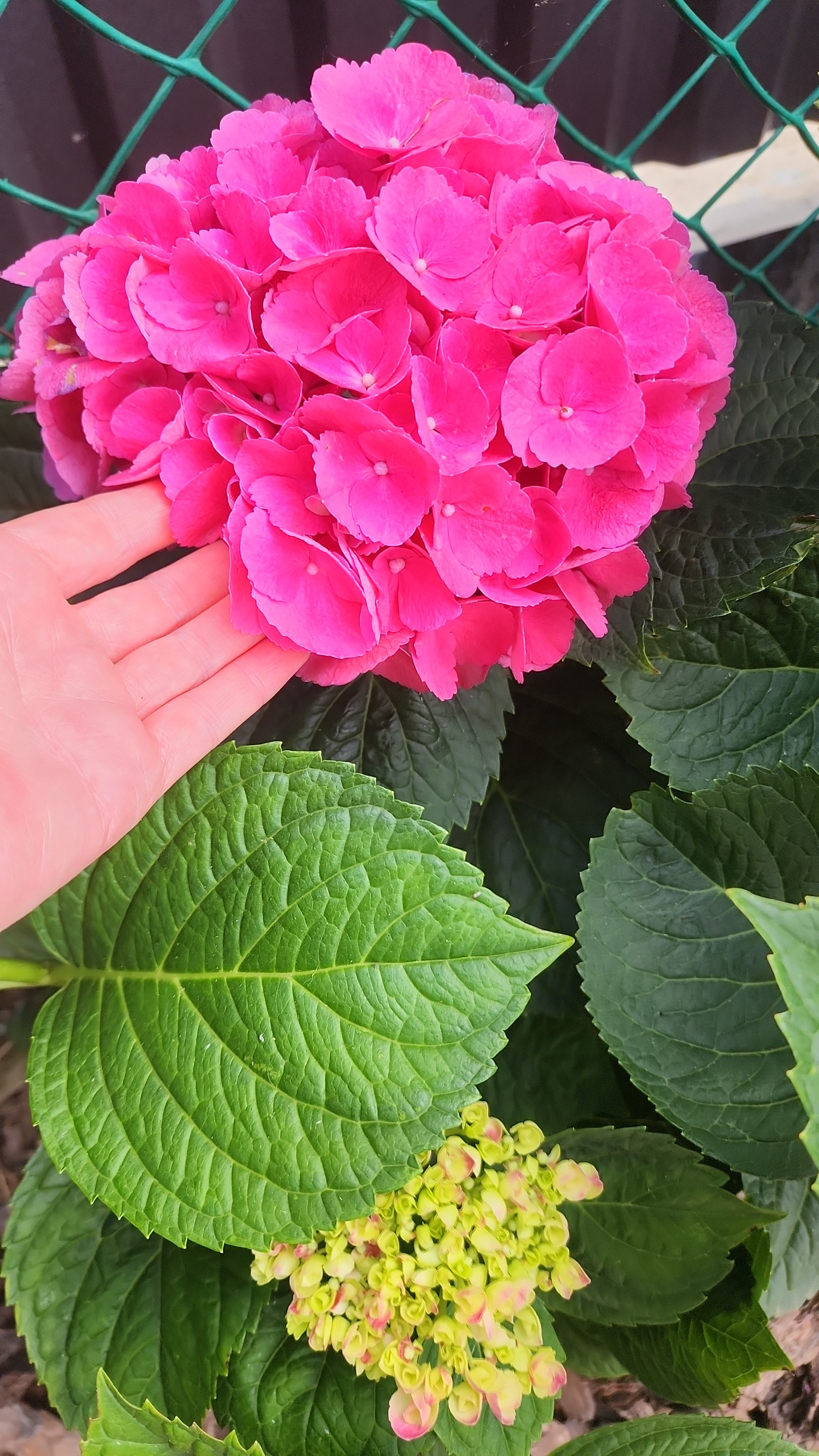 Участок Оксана. Дизайн интерьера, мебели и ландшафта на КМВ | OXY Design