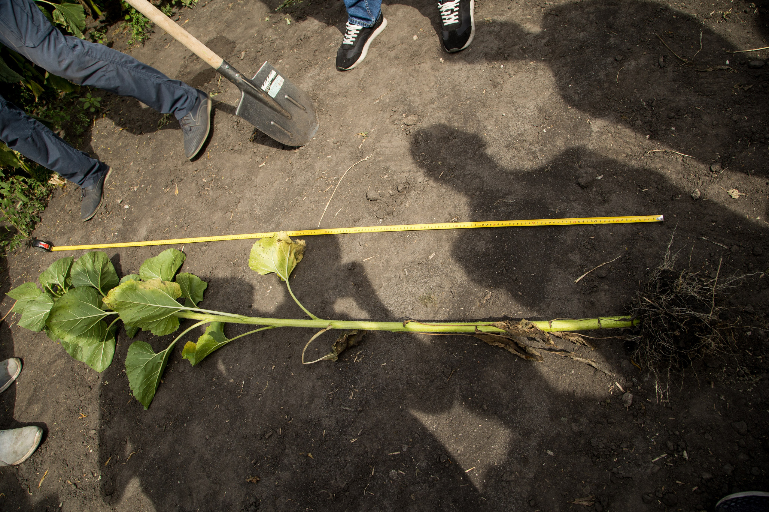 Решения для сельского хозяйства BASF 16.08.2022. Владислав Волков | Фотография и видеосъемка в Воронеже