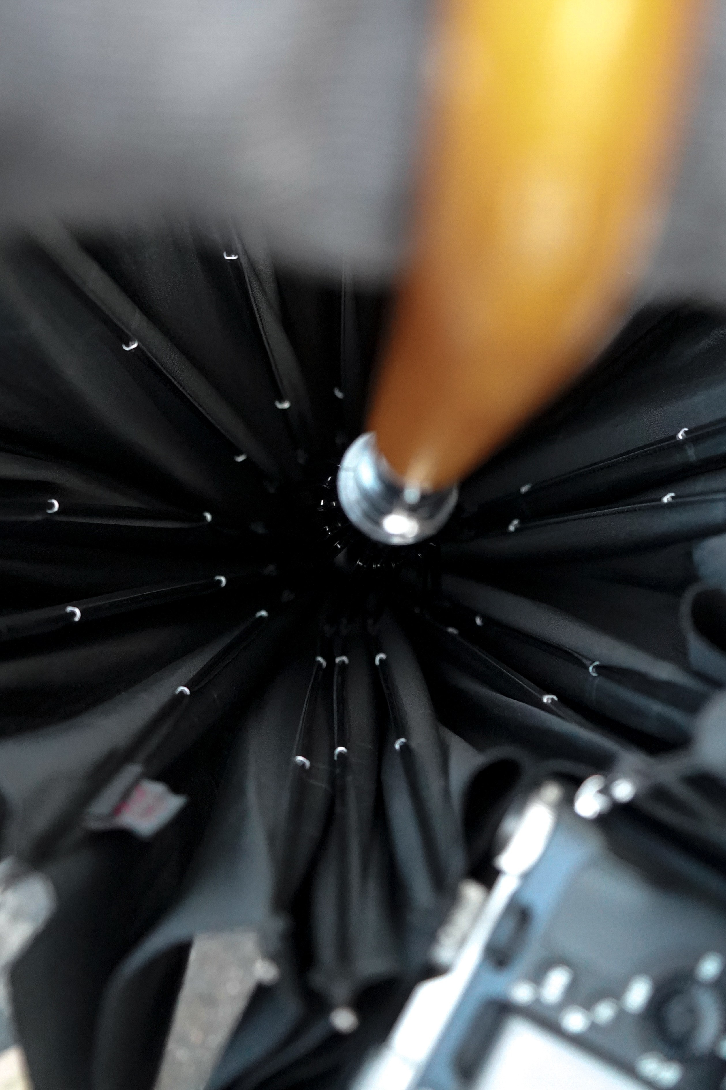 Фотографии