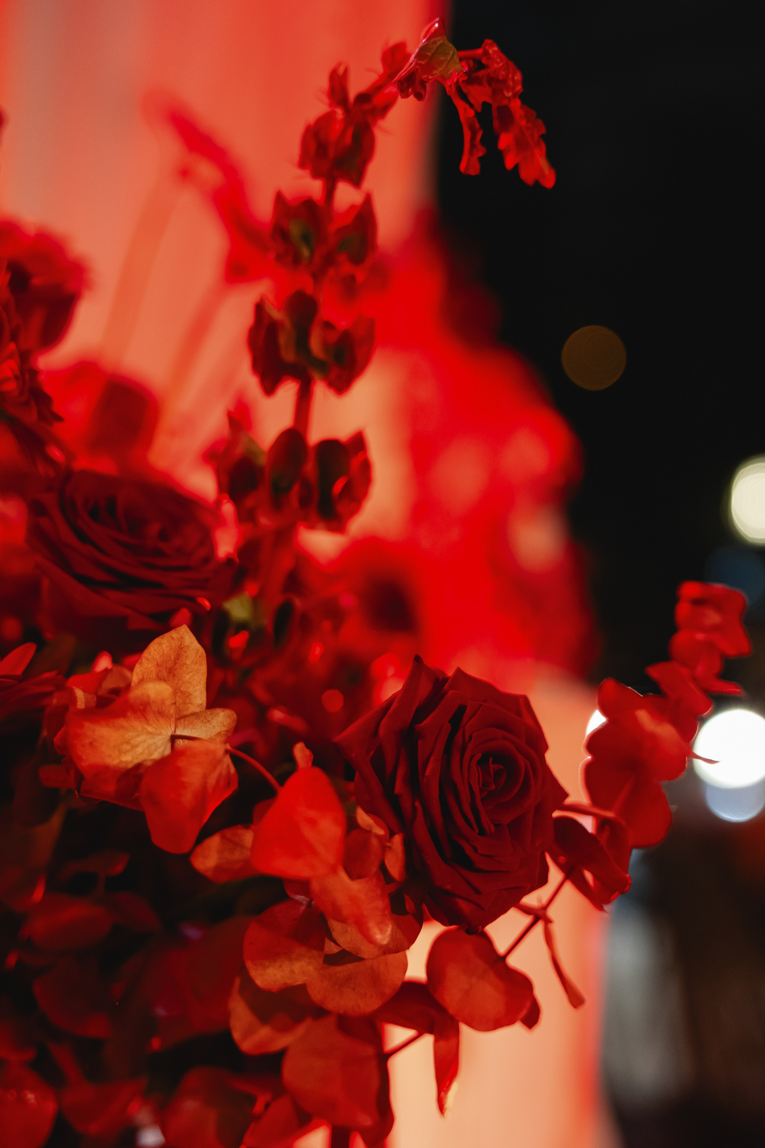 День рождения Barbaresco. Крылова Светлана Фотограф Челябинск