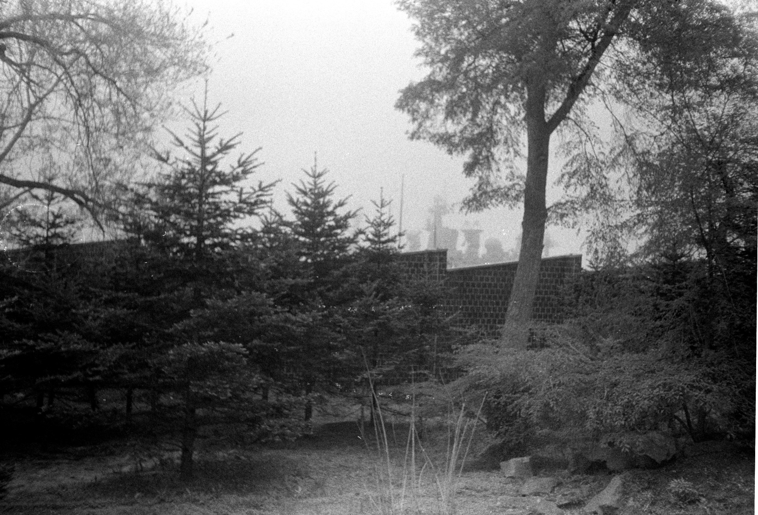 Плёнка весна-лето 2025. Ирина Чернова — портретный фотограф и маркетолог из Владивостока