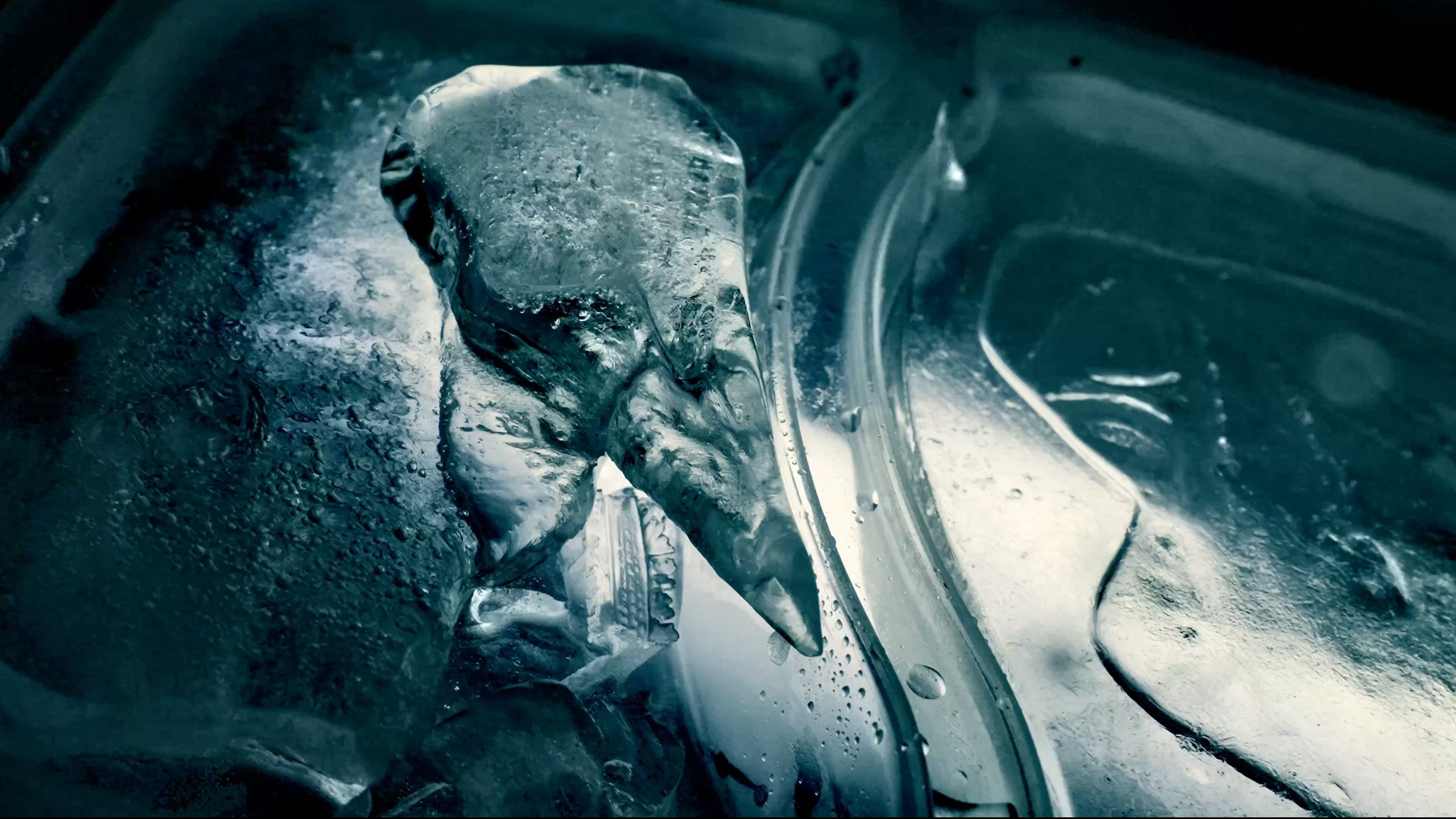 Лука Шарабидзе. Оператор. Лука Шарабидзе. Оператор, фотограф