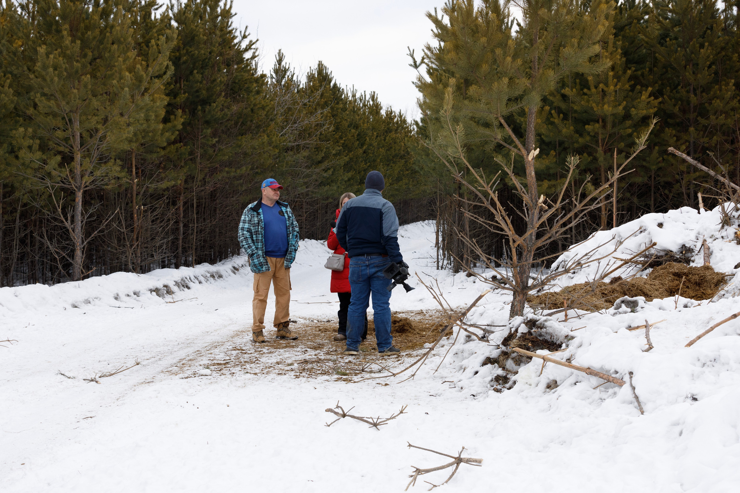Косули. Фотограф Андрей Гузеев