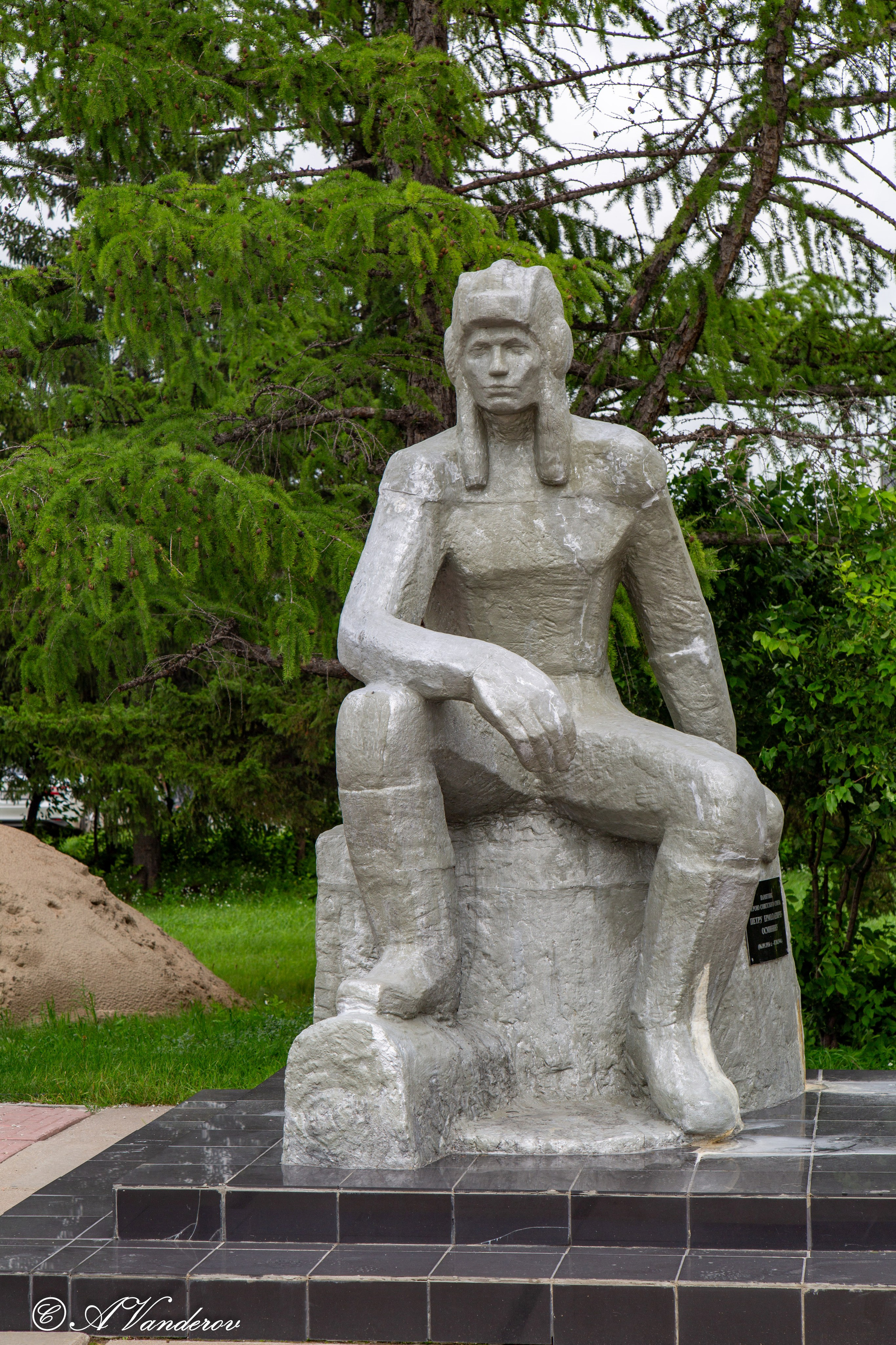 Калачинск 07.07.2024. Фотограф Омск | Александр Вандеров