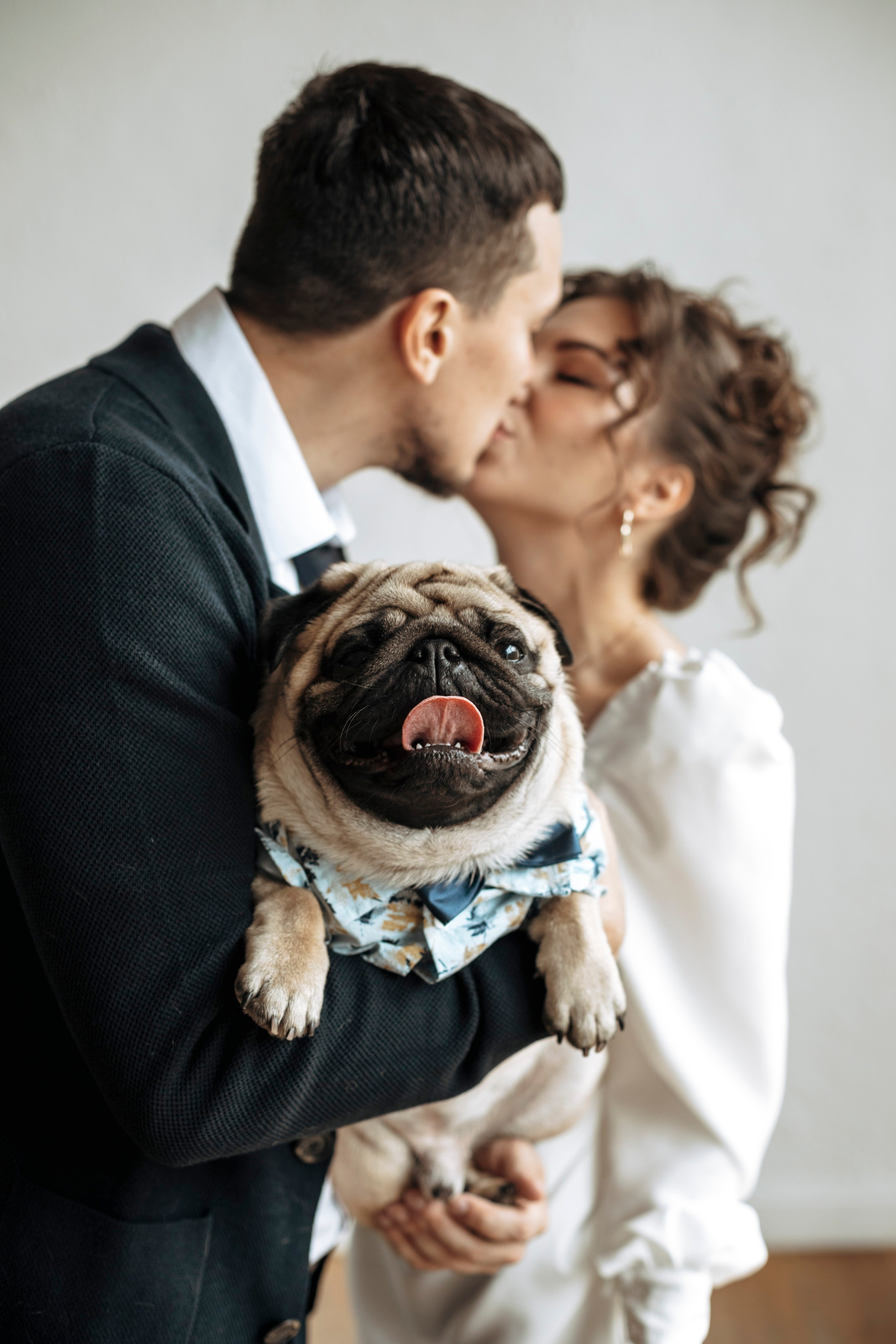 Wedding Story. Главная