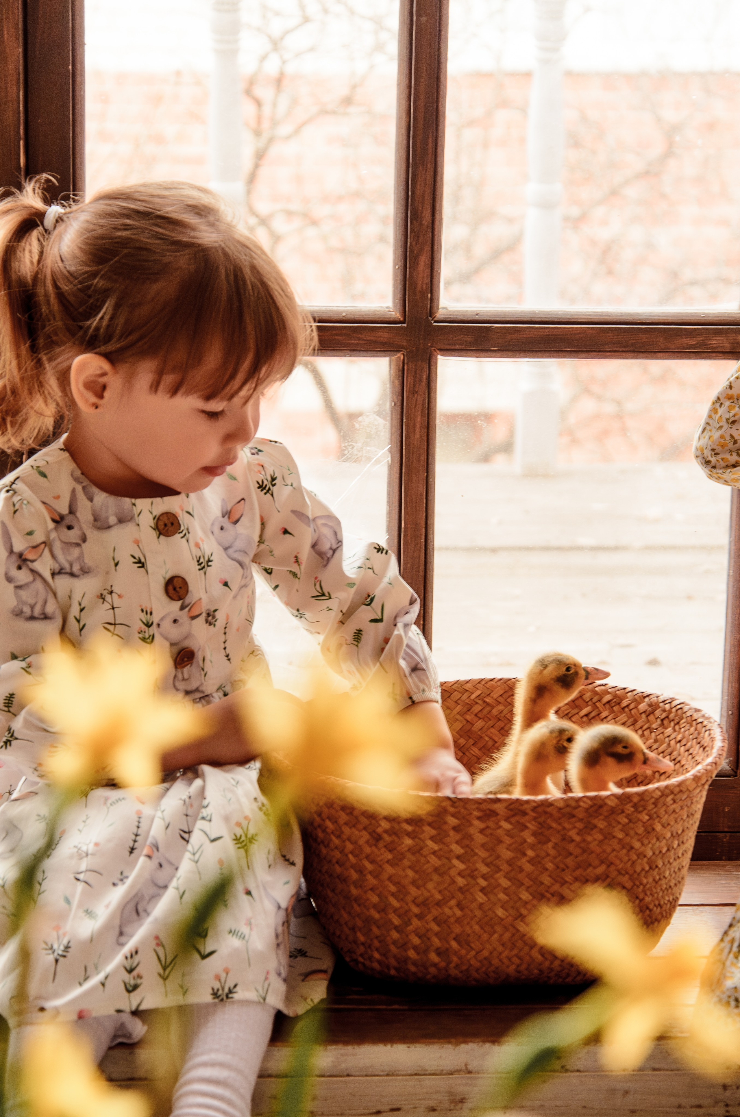 Маленькие кря-кря. Фотографы в Тюмени Андрей и Лидия Войвод
