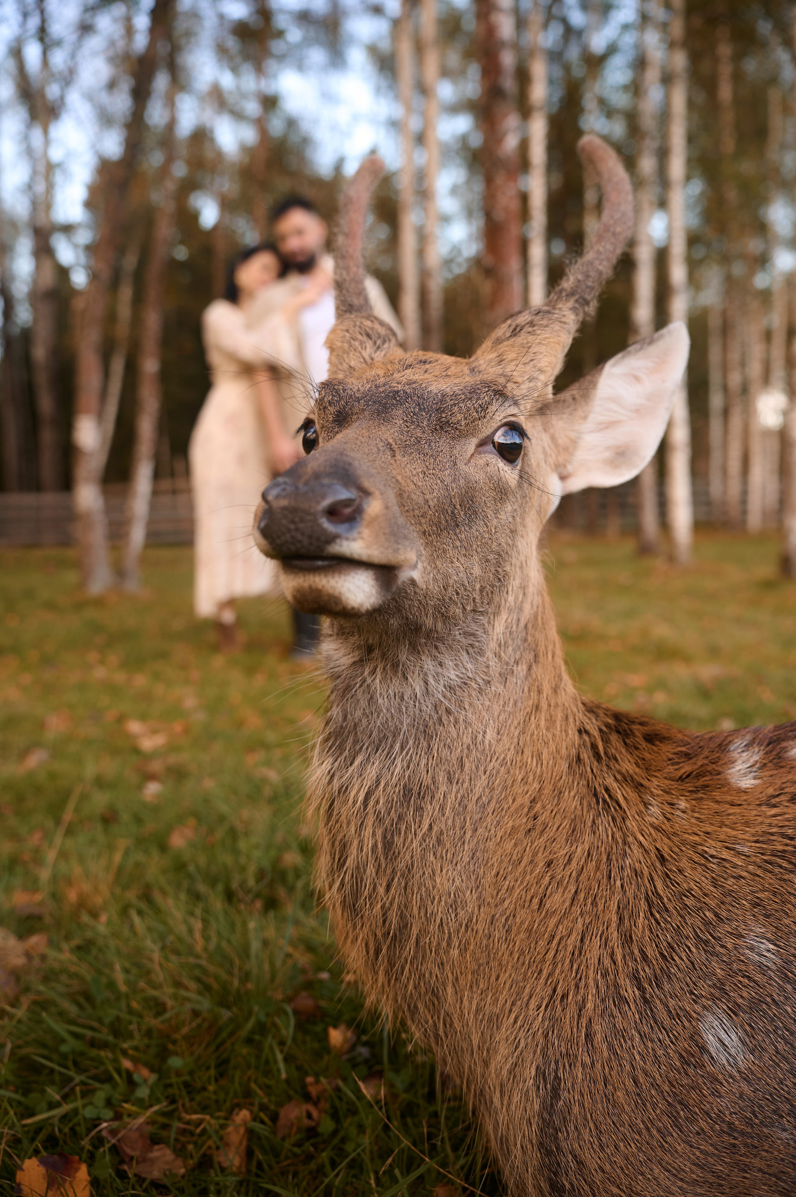 Маленькая история большой любви. Миракова Катрин — портретный и семейный фотограф в Москве