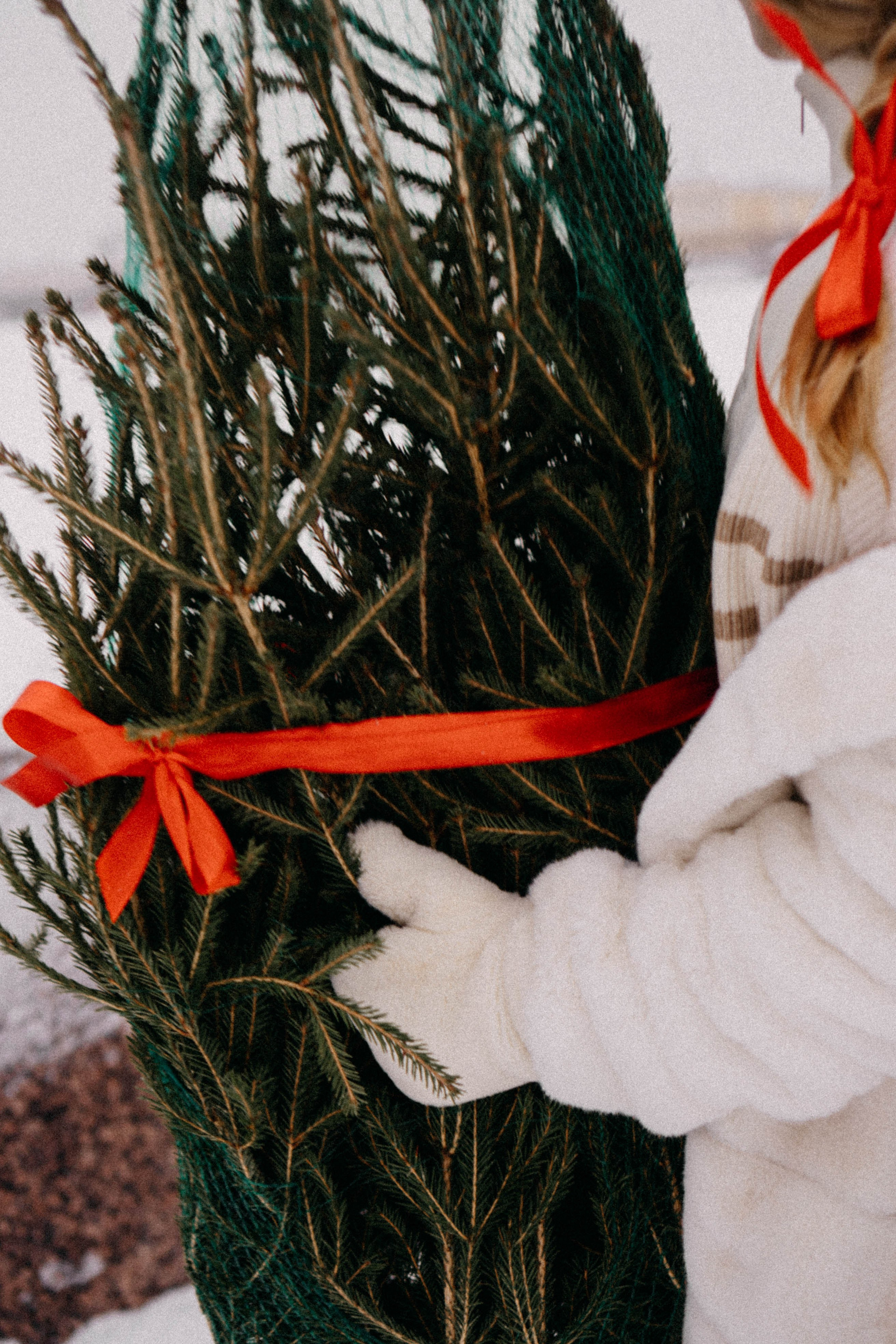 Новогодняя. Профессиональный фотограф, Санкт-Петербург — Виктория Богомолова
