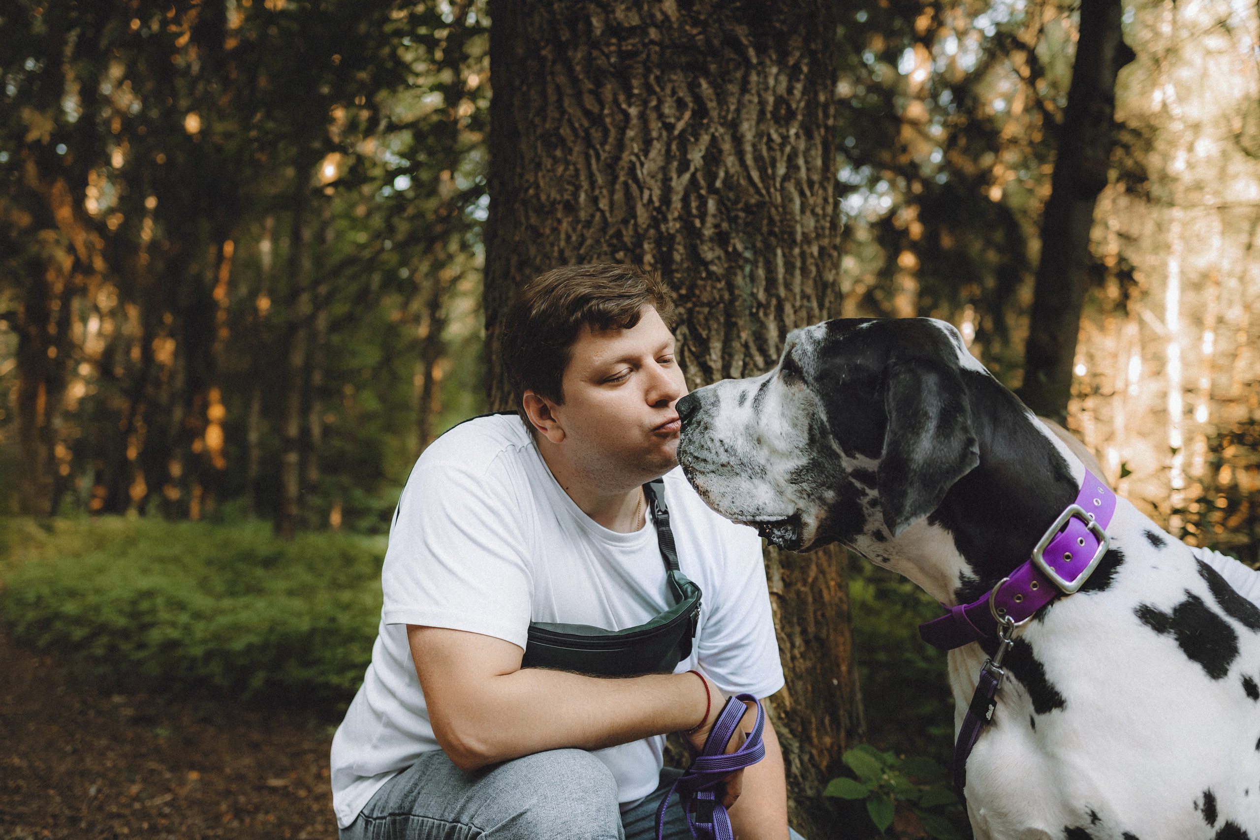 Катя, Андрей, Гектор, Ричи, Тортик и Трой